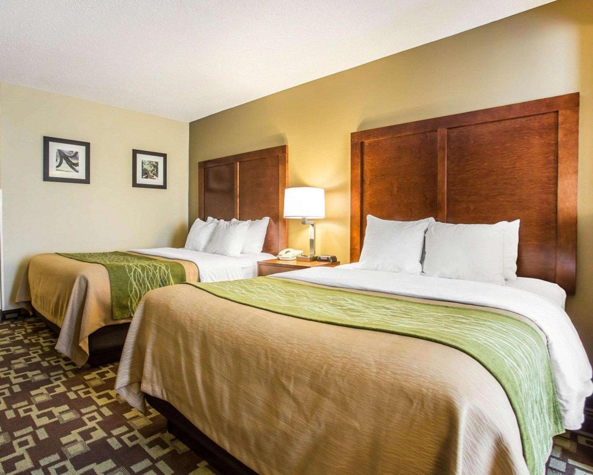 Comfort Inn & Suites Walterboro I-95 photo 16