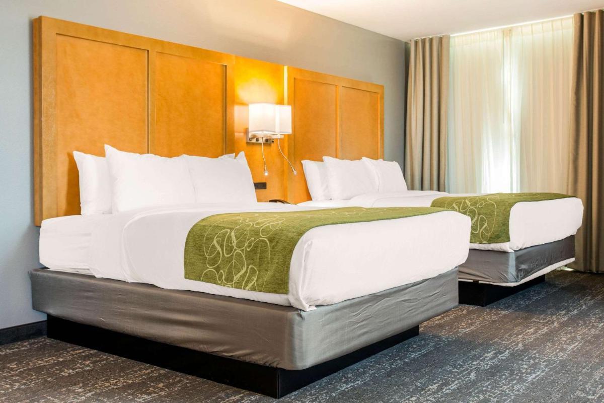 Comfort Suites North Charleston - Ashley Phosphate photo 16