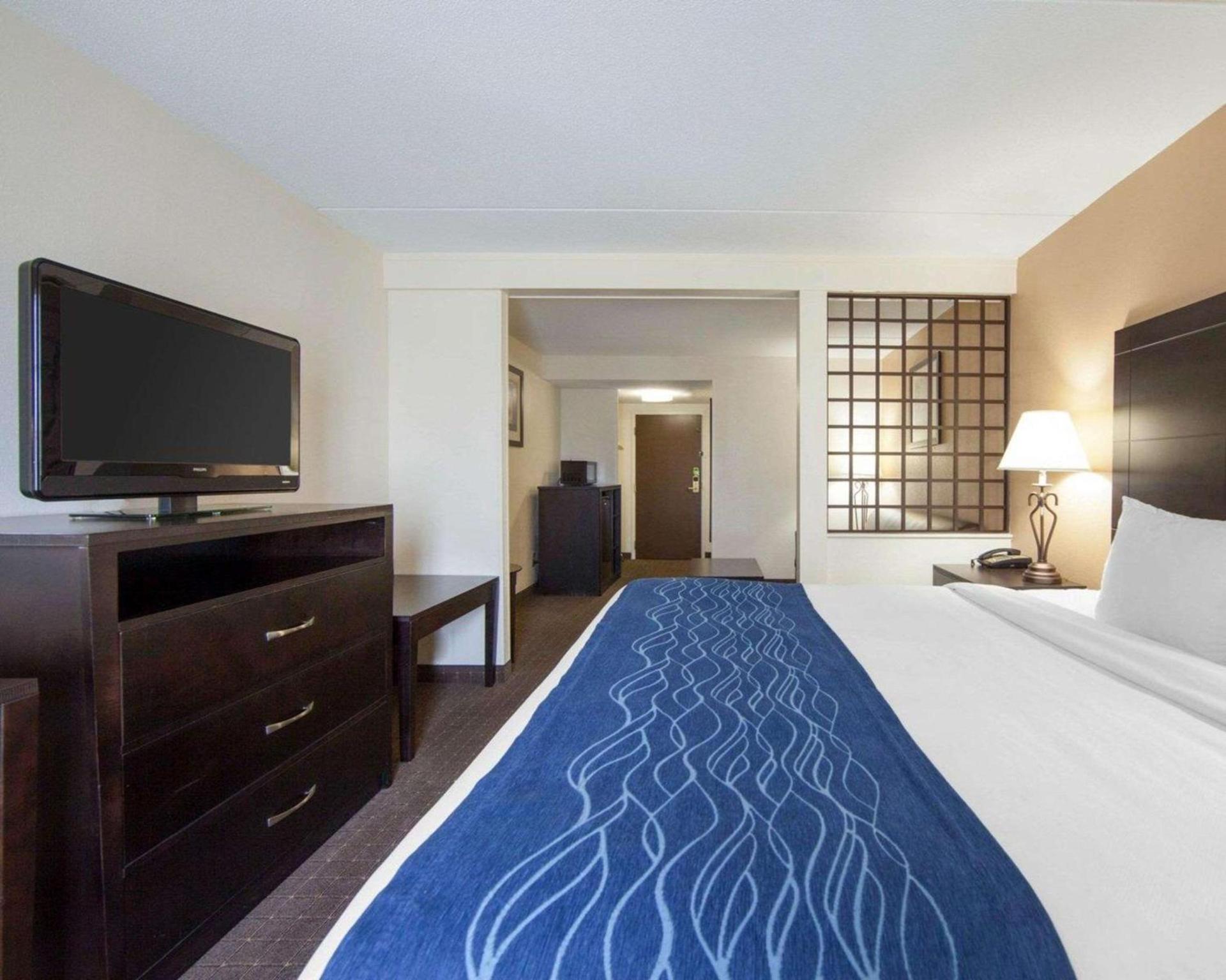 Comfort Inn Oak Ridge - Knoxville photo 9