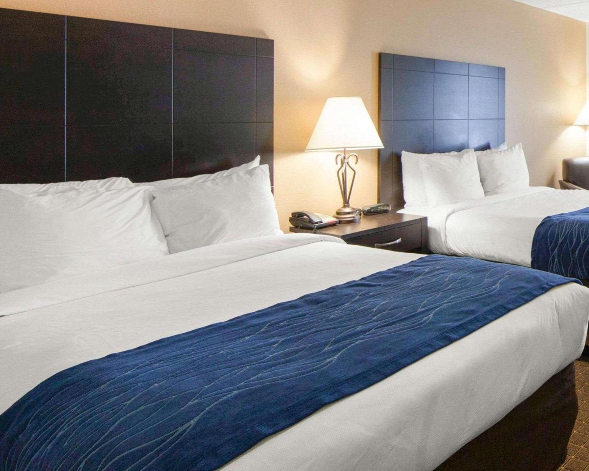 Comfort Inn Oak Ridge - Knoxville photo 7