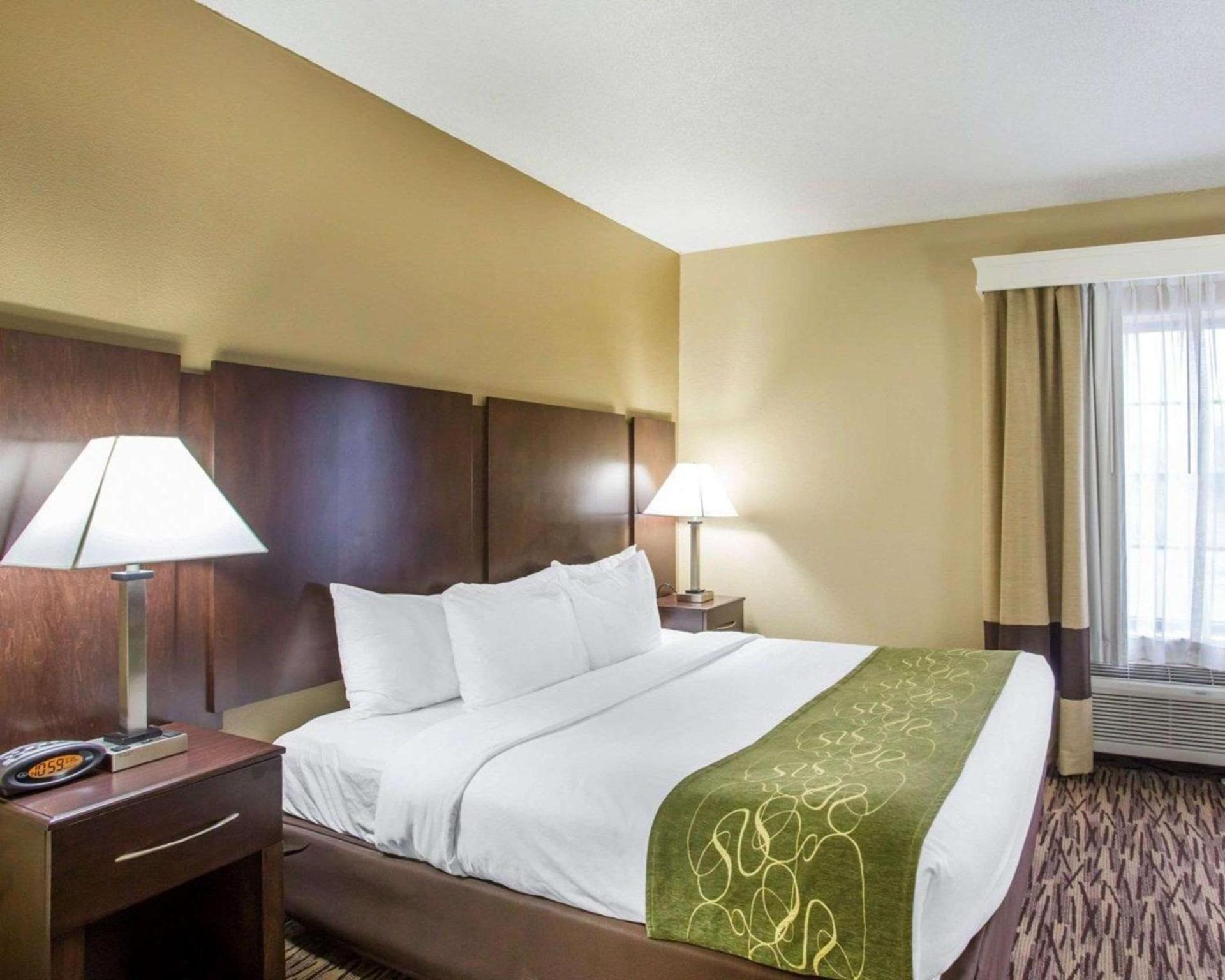 Comfort Suites Lebanon photo 25