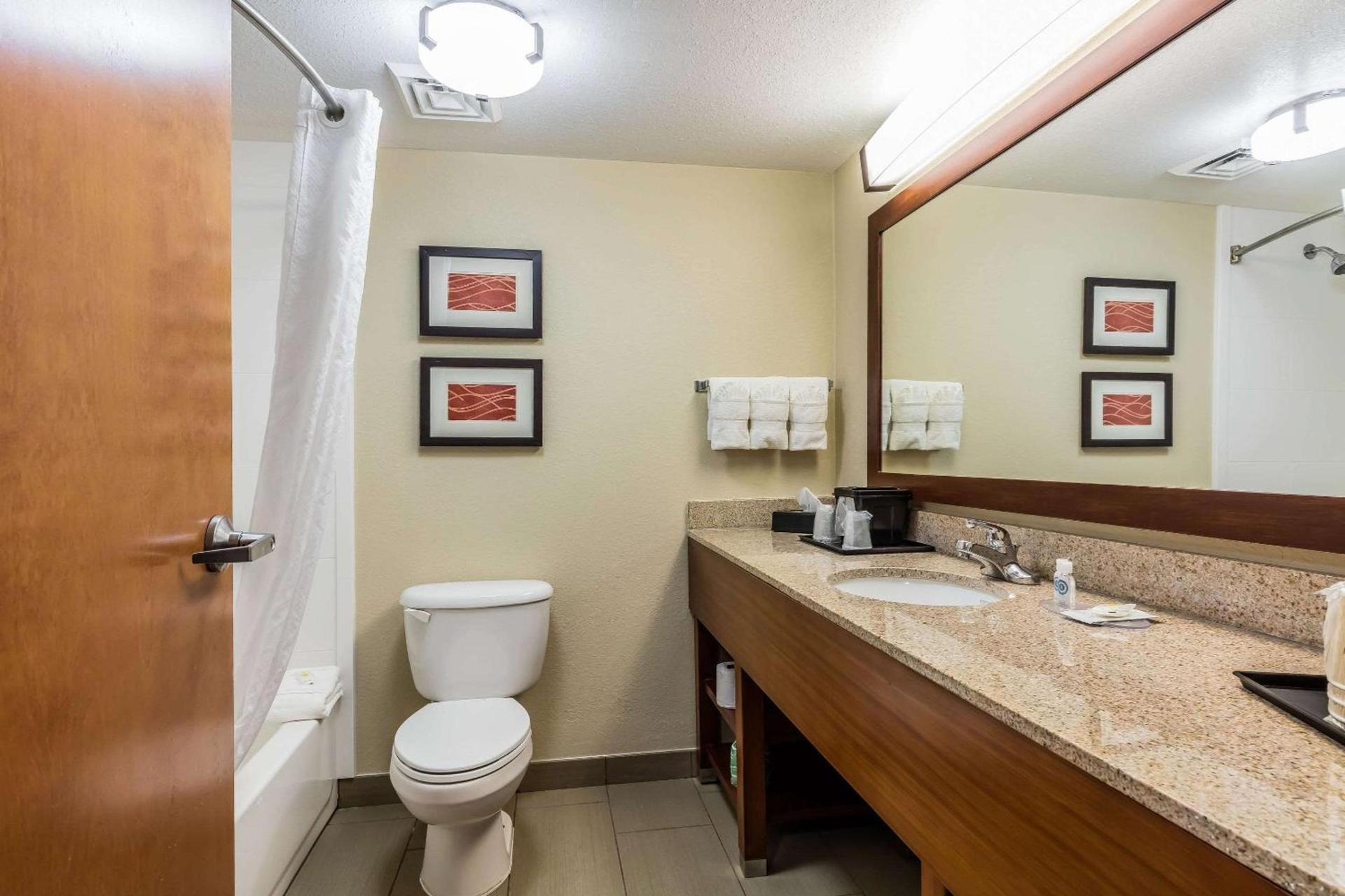 Comfort Inn & Suites Airport-American Way photo 22