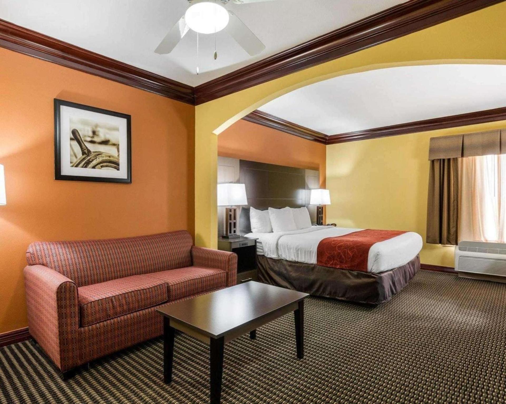 Comfort Suites Lake Jackson Clute photo 8