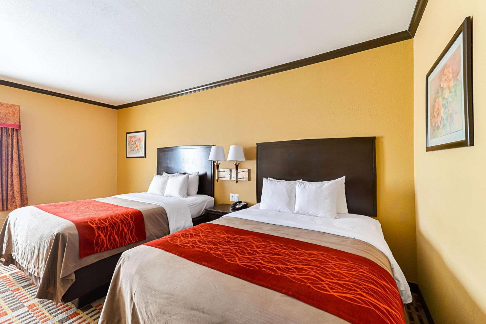 Quality Inn & Suites Lubbock South photo 10