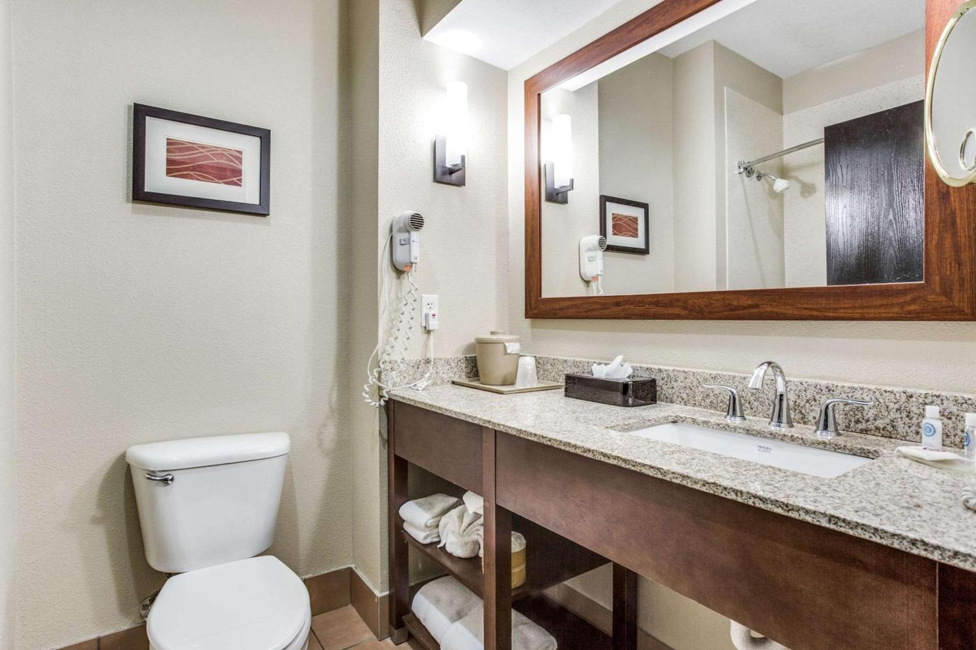Comfort Inn & Suites Love Field-Dallas Market Center photo 12
