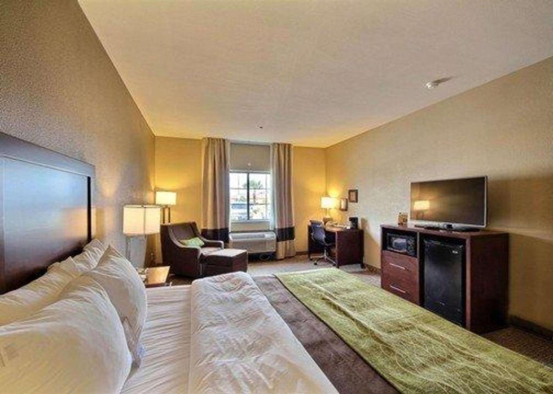Comfort Inn Edinburg South photo 8