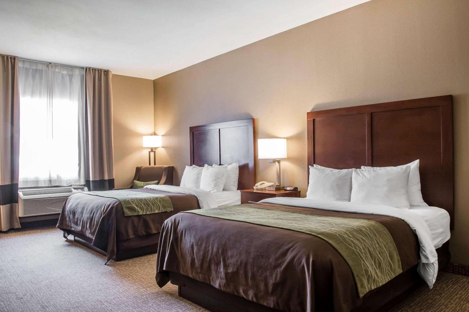 Comfort Inn Edinburg South photo 3