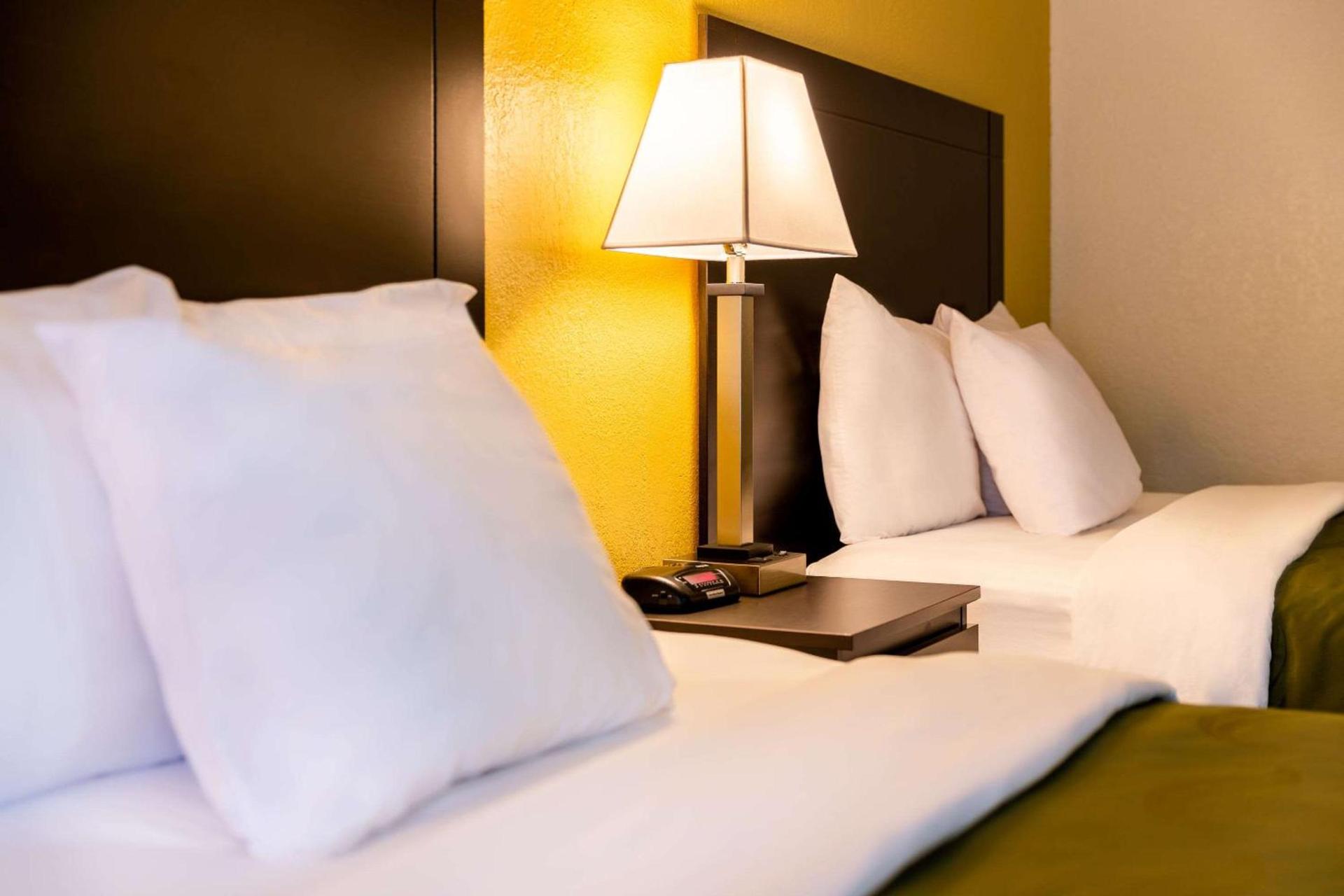 Quality Inn at Arlington Highlands photo 11