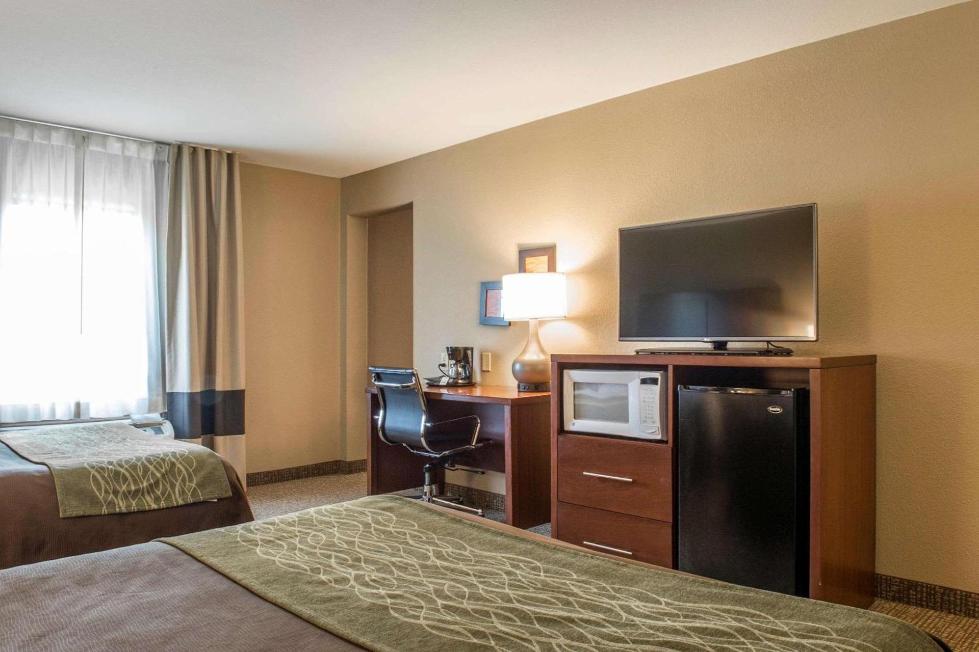 Comfort Inn Edinburg South photo 4