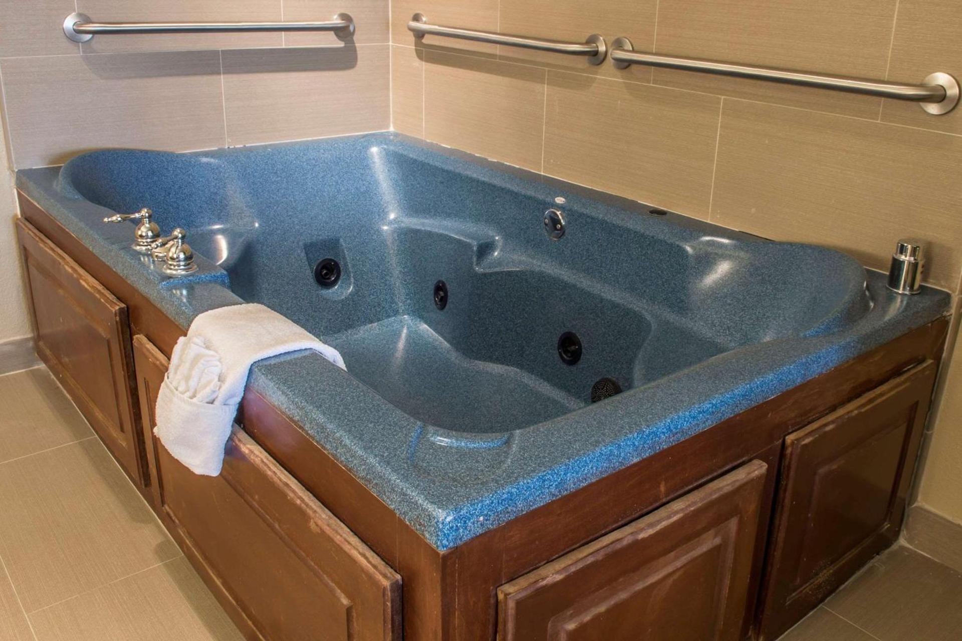Comfort Inn Edinburg South photo 11