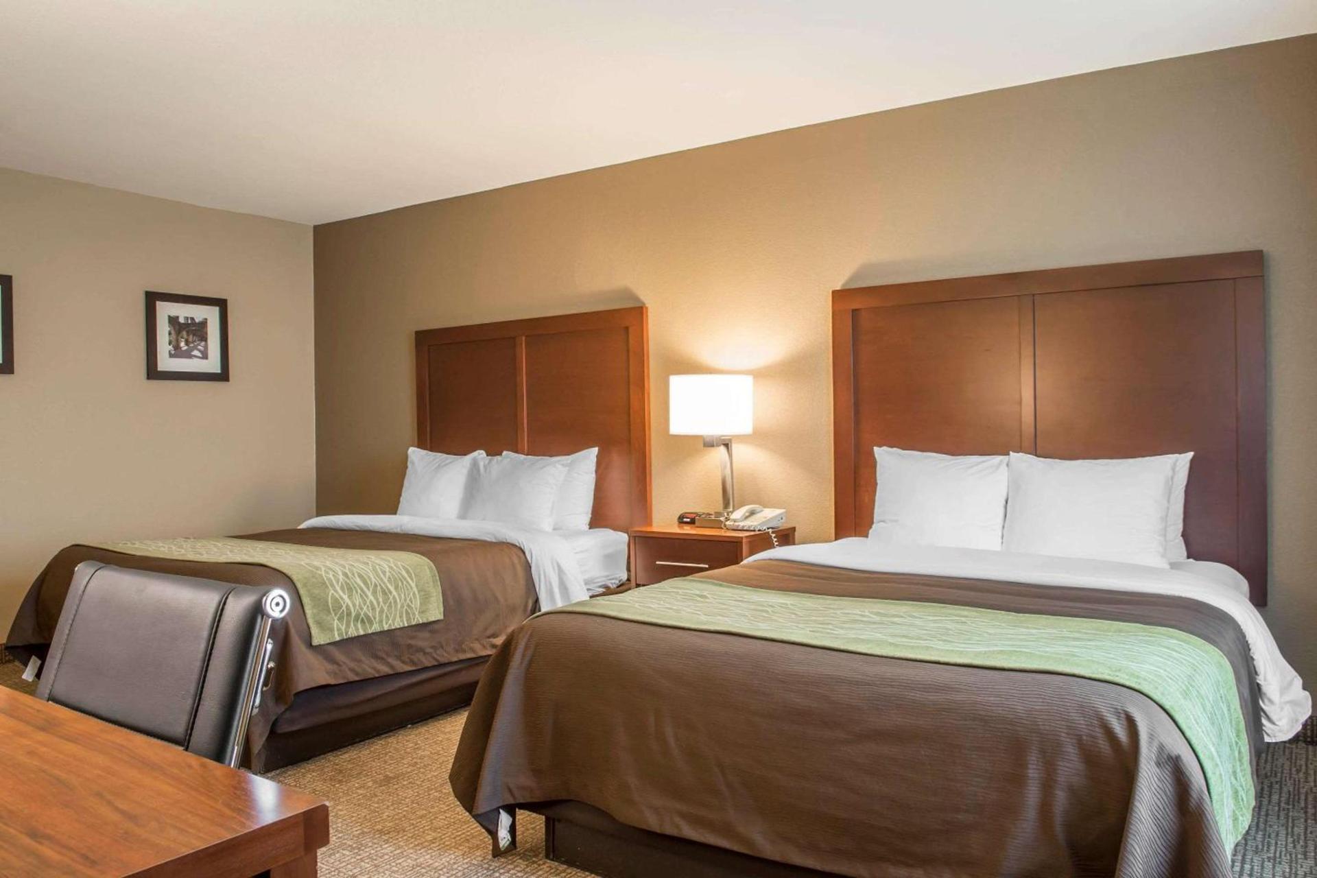 Comfort Inn Edinburg South photo 6