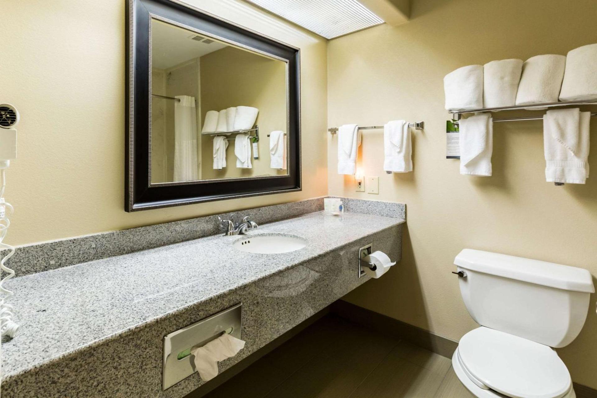 Comfort Suites Westchase Houston Energy Corridor photo 5
