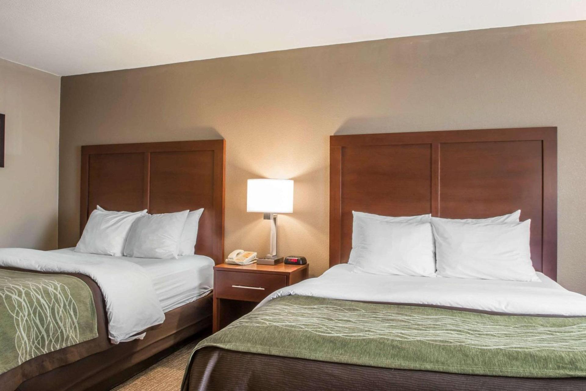 Comfort Inn Edinburg South photo 13
