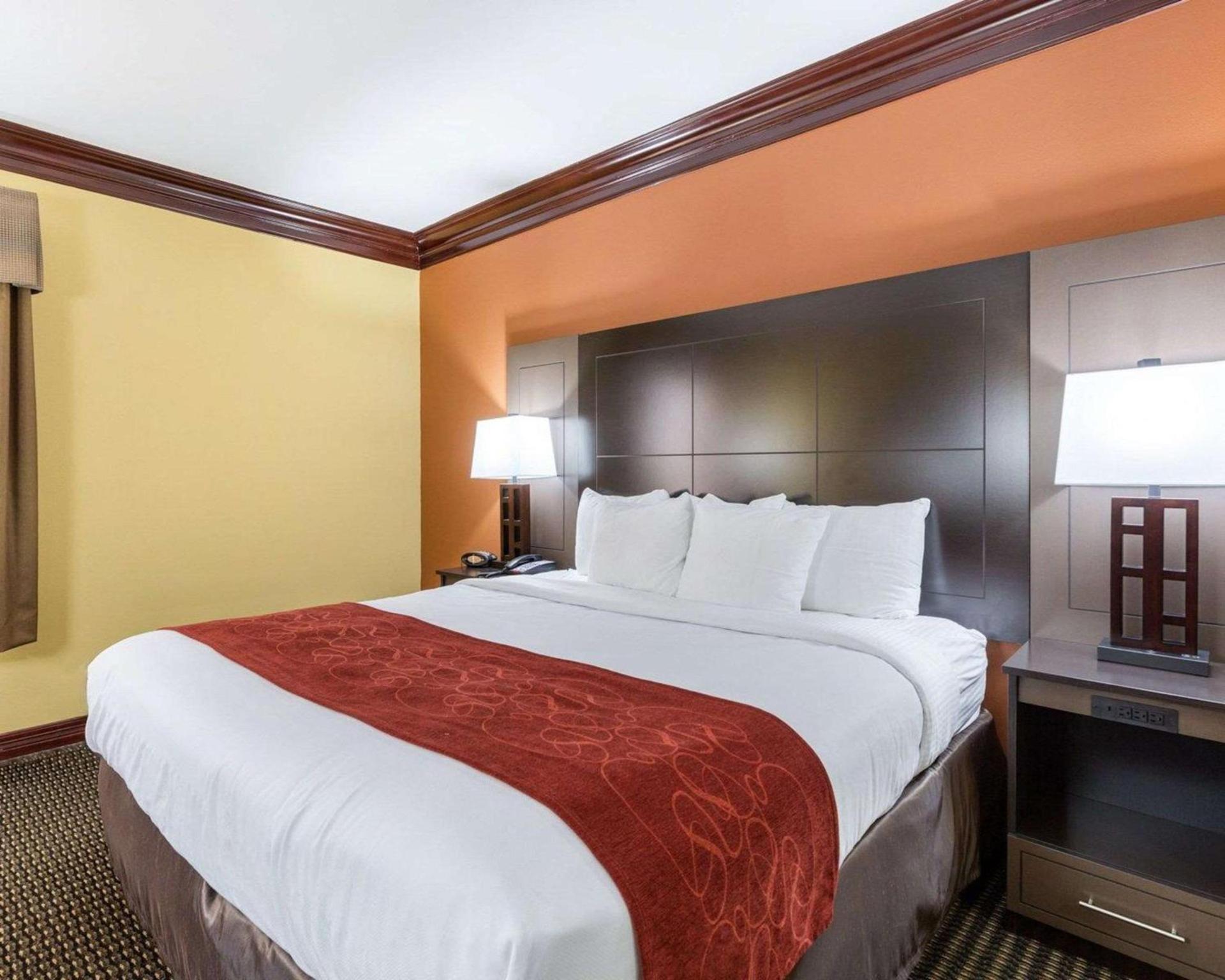 Comfort Suites Lake Jackson Clute photo 14