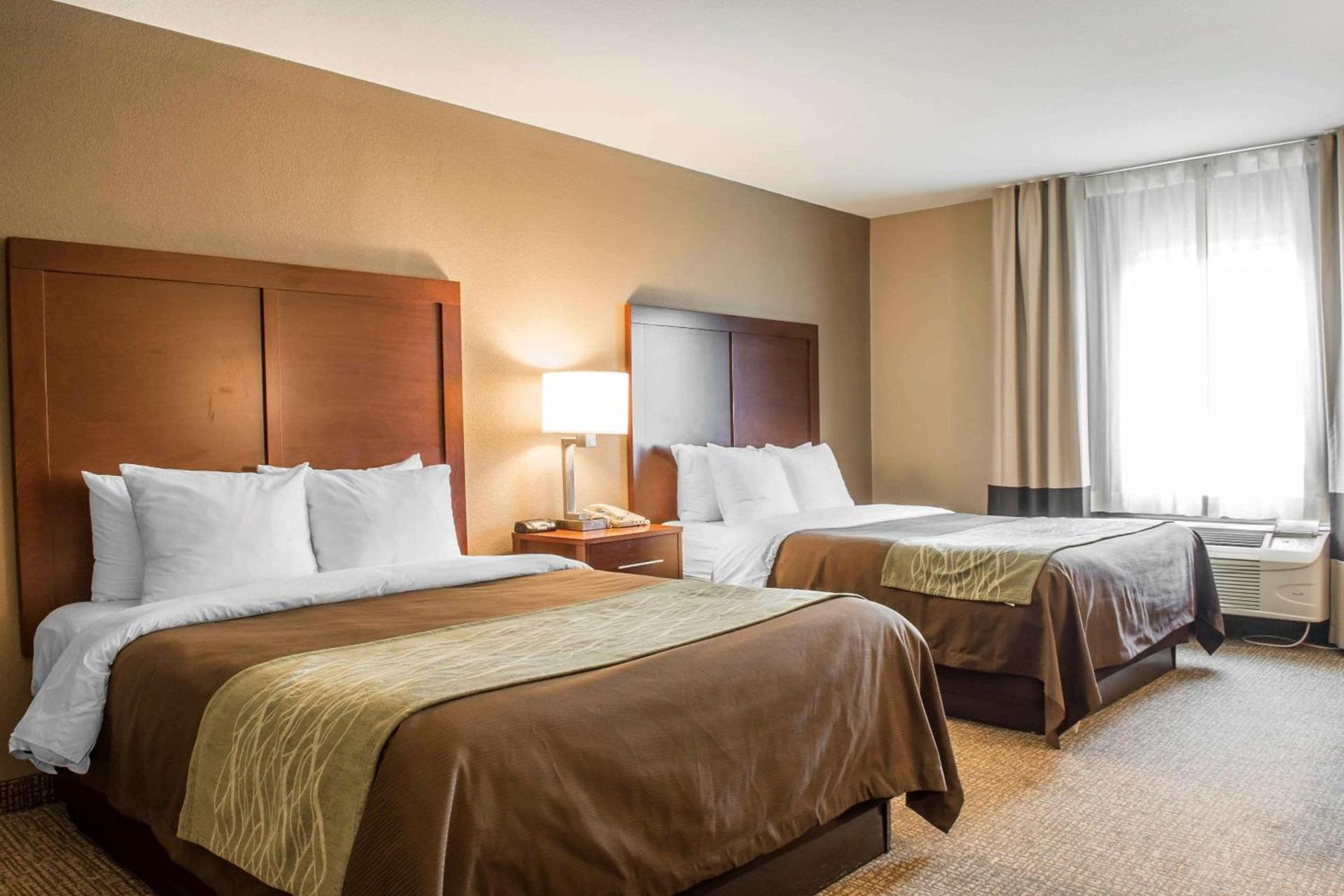 Comfort Inn Edinburg South photo 26