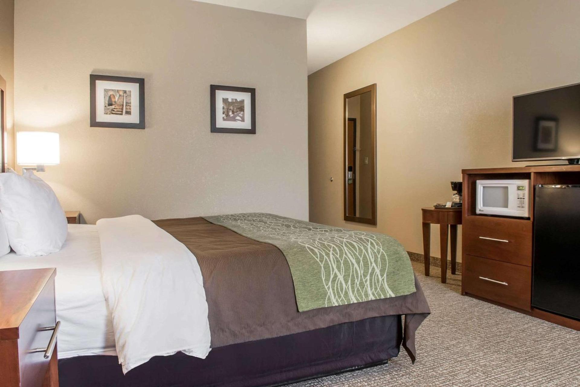 Comfort Inn Edinburg South — hotel in Edinburg