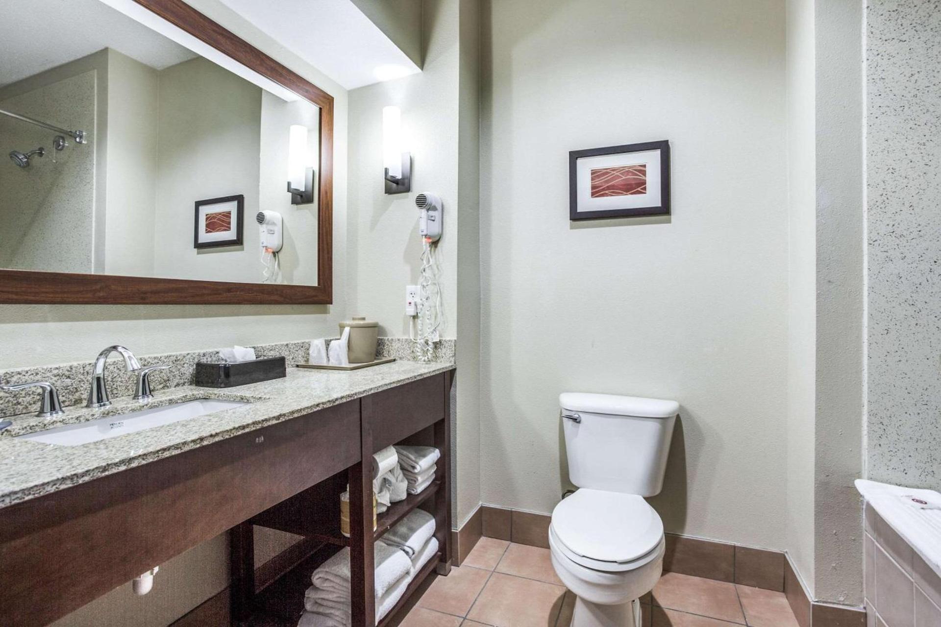 Comfort Inn & Suites Love Field-Dallas Market Center photo 13