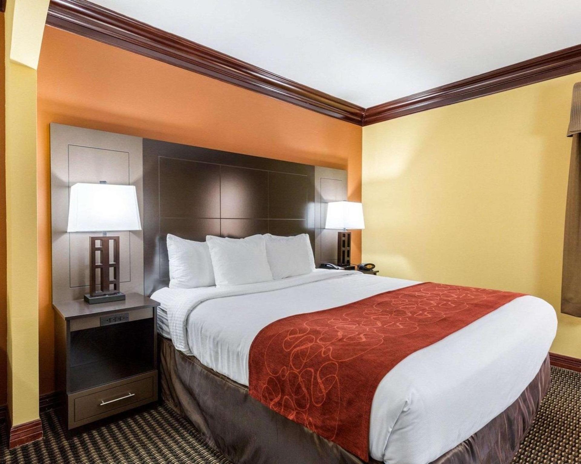 Comfort Suites Lake Jackson Clute photo 16