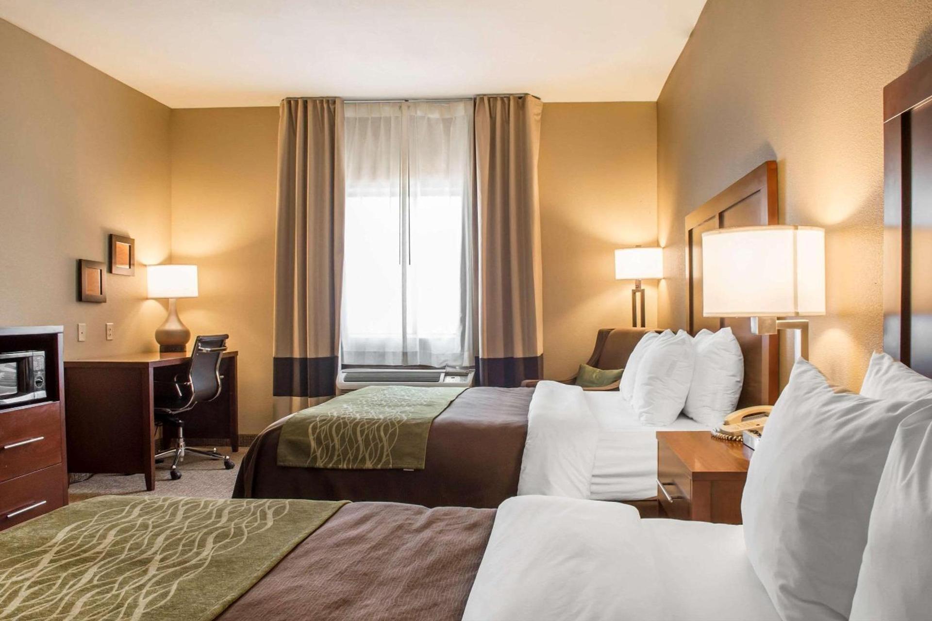 Comfort Inn Edinburg South photo 9