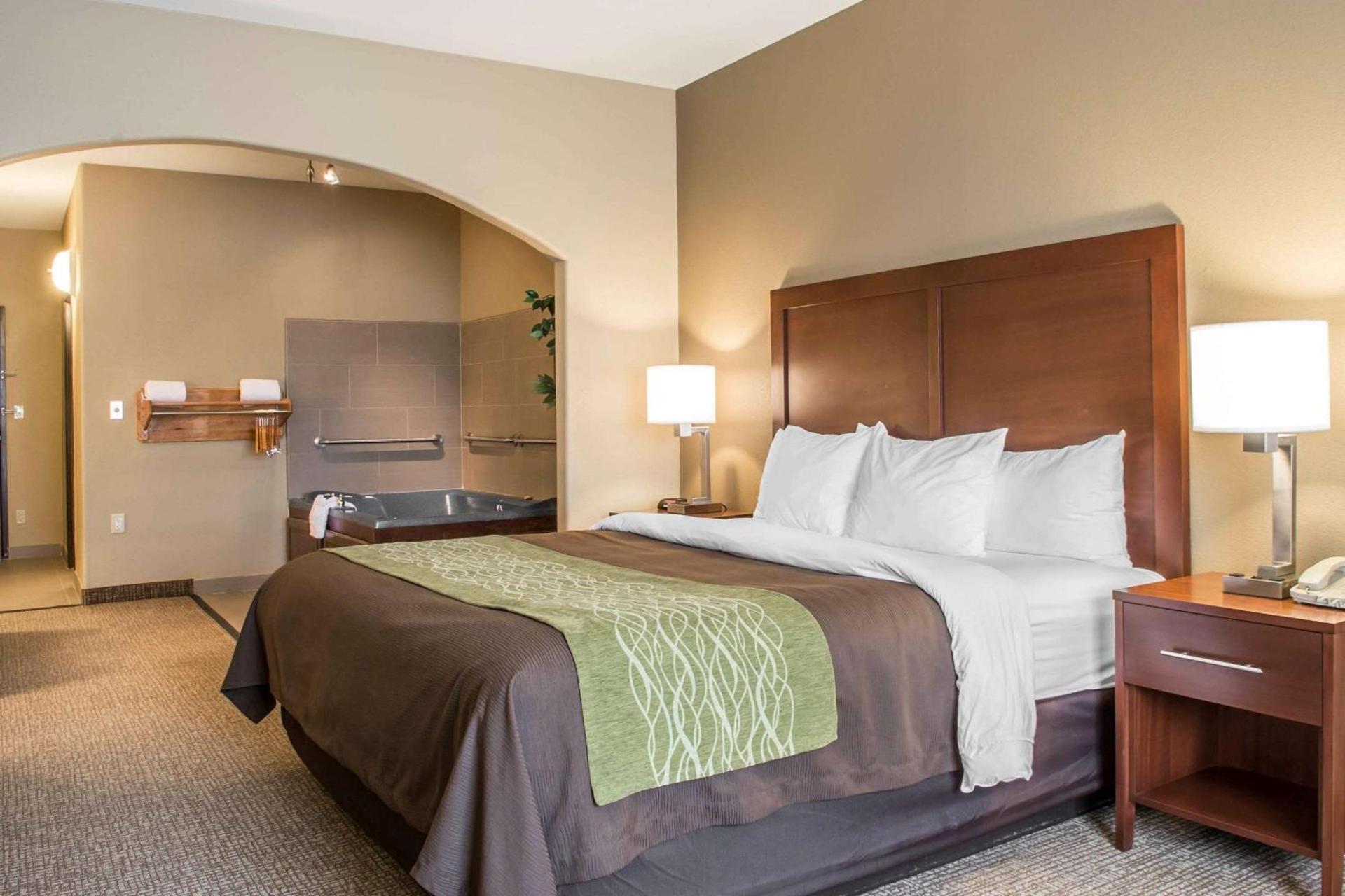 Comfort Inn Edinburg South photo 5
