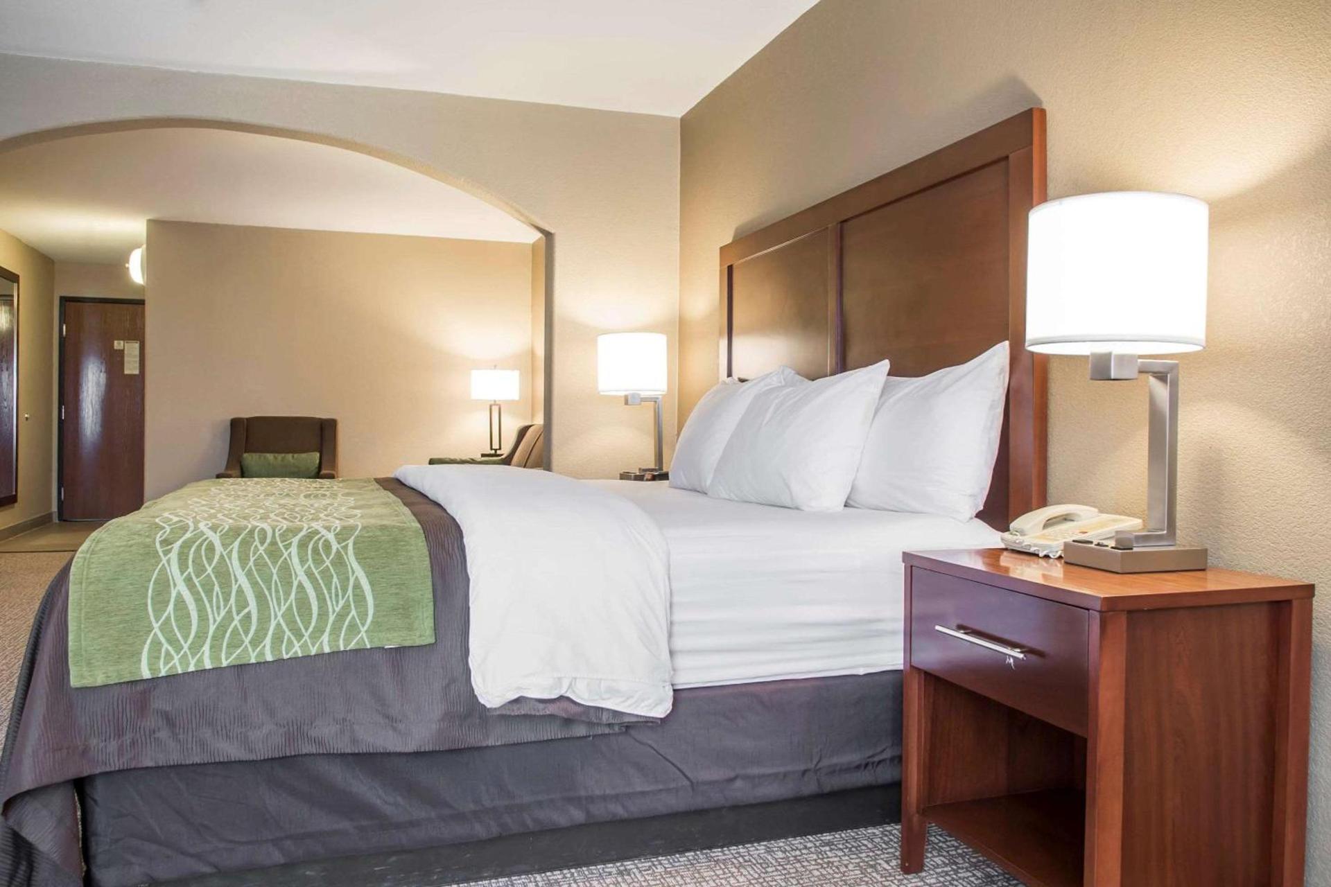 Comfort Inn Edinburg South photo 7