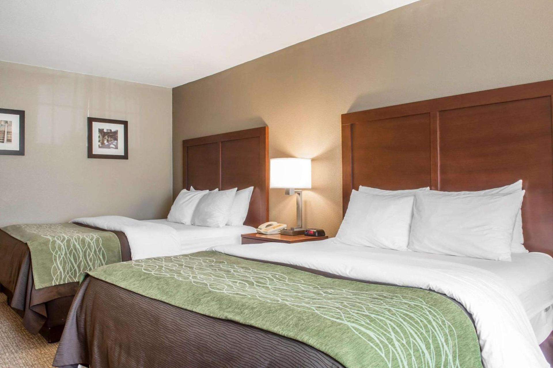 Comfort Inn Edinburg South photo 15