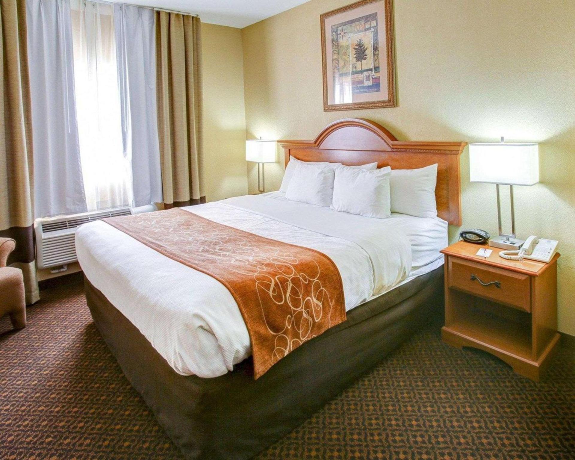 Comfort Suites Brenham photo 11