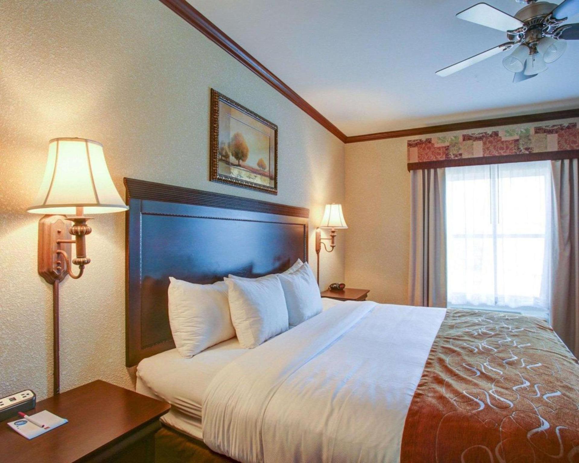 Comfort Suites University Drive photo 43