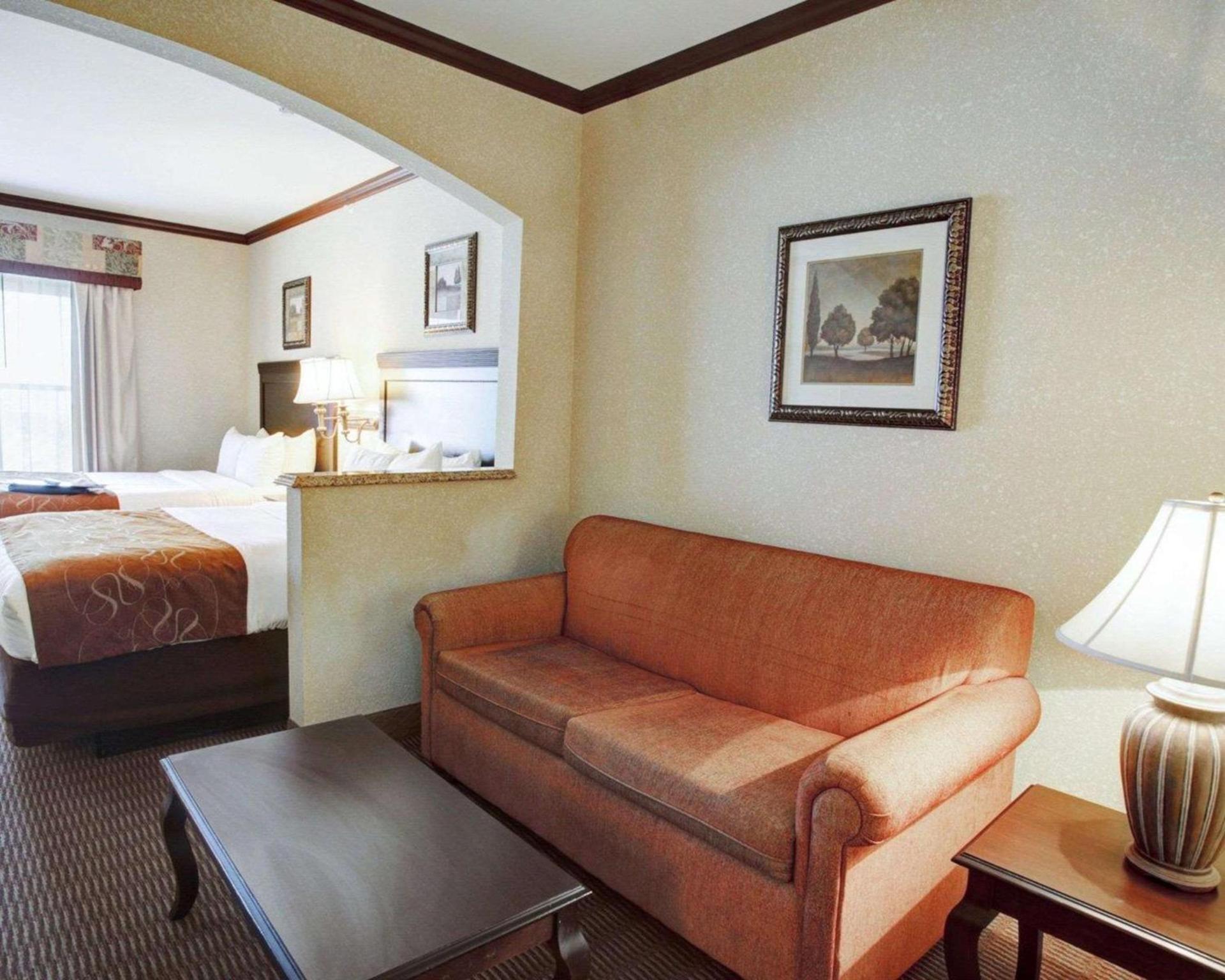 Comfort Suites University Drive photo 27