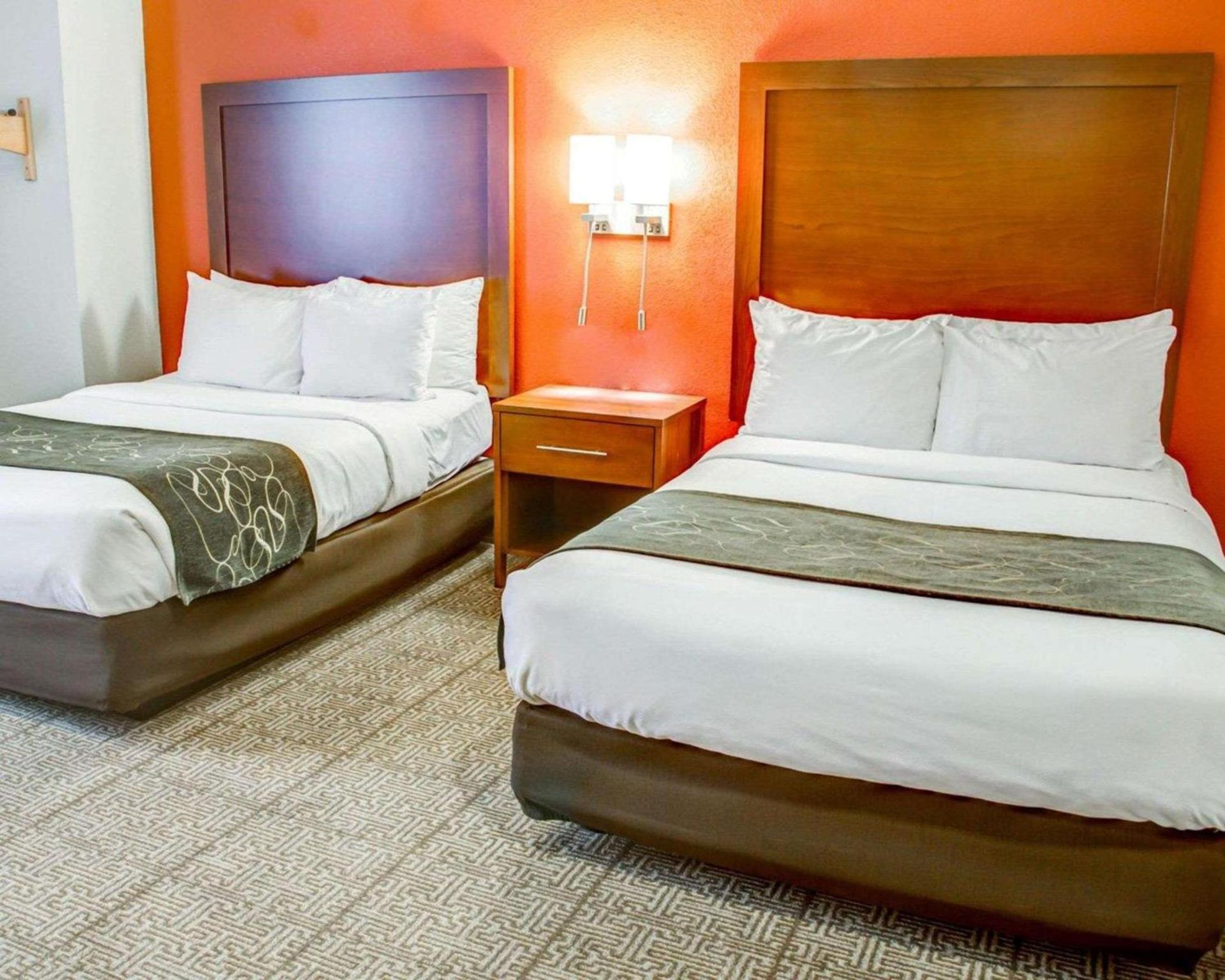 Comfort Suites Tyler South photo 13