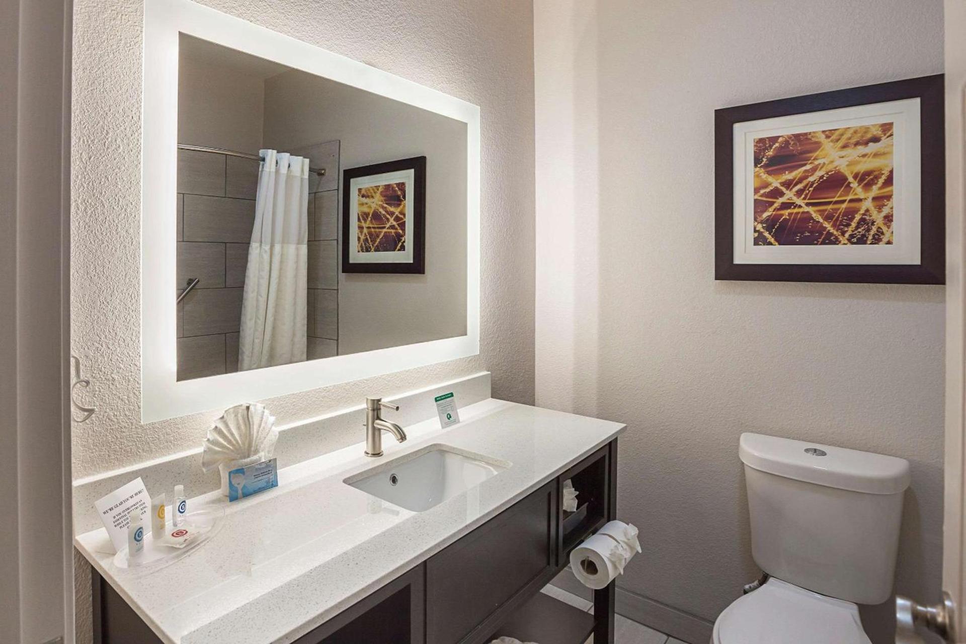 Comfort Suites Lewisville - Dallas photo 16