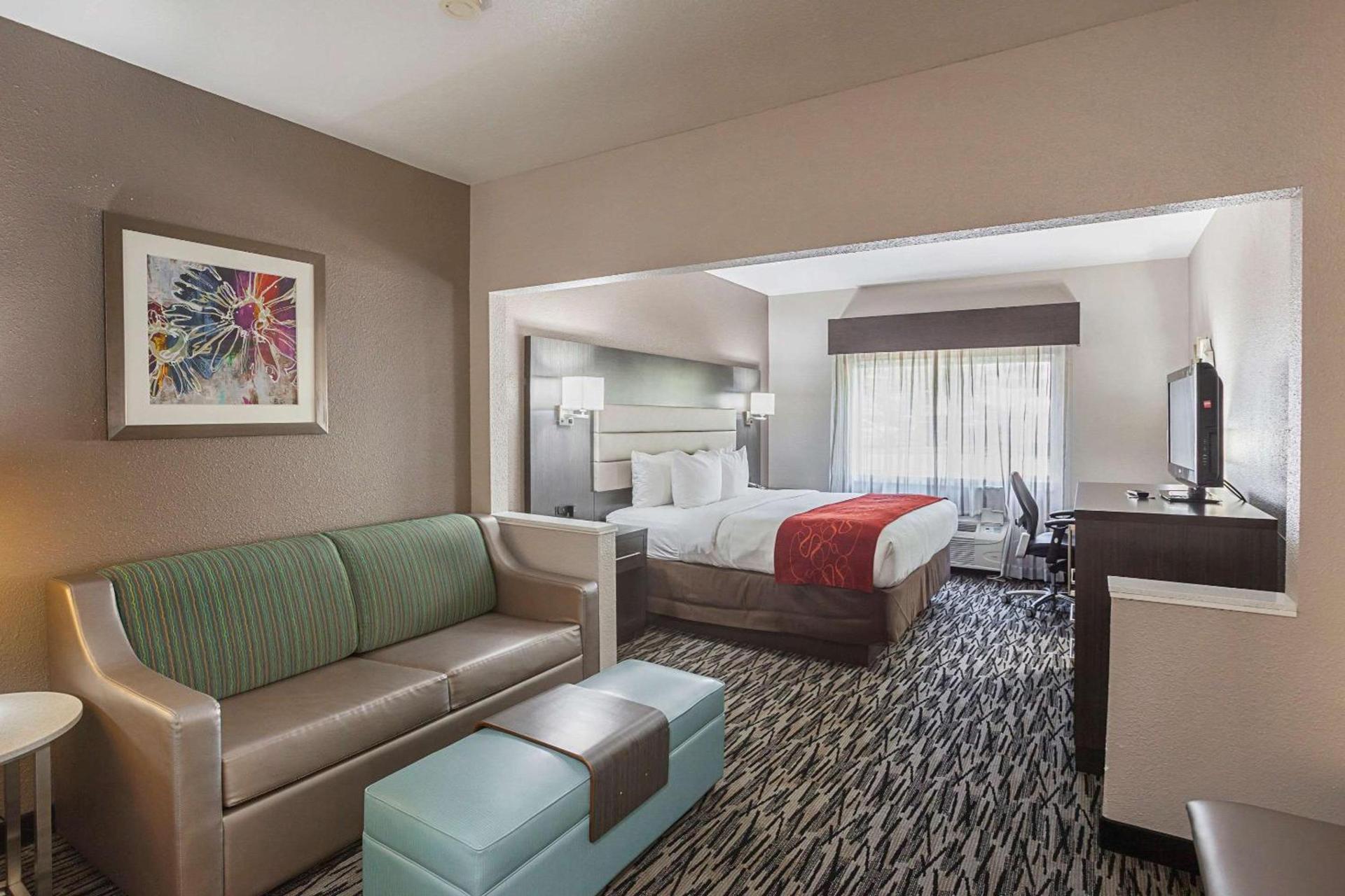 Comfort Suites Lewisville - Dallas photo 10