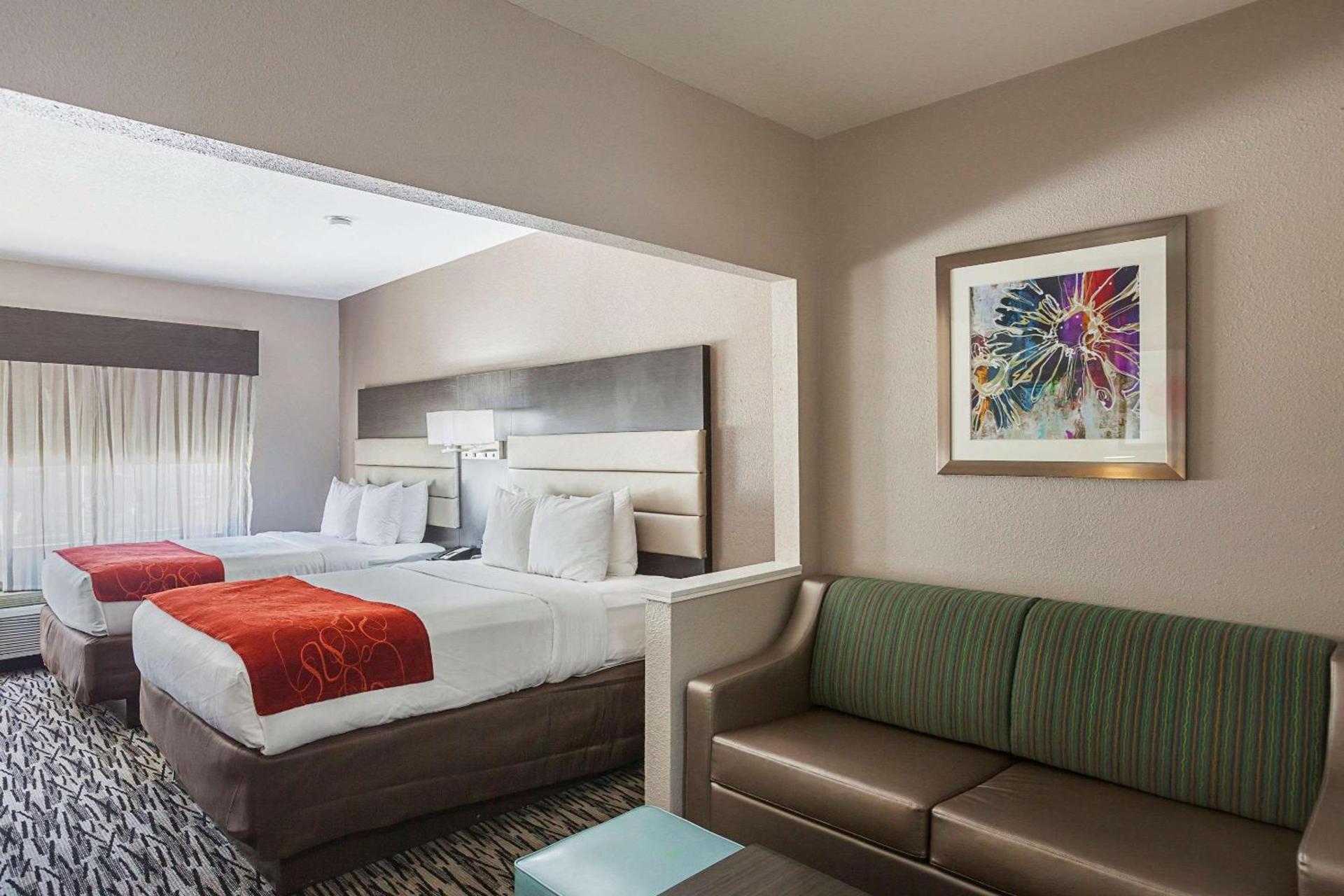 Comfort Suites Lewisville - Dallas photo 12