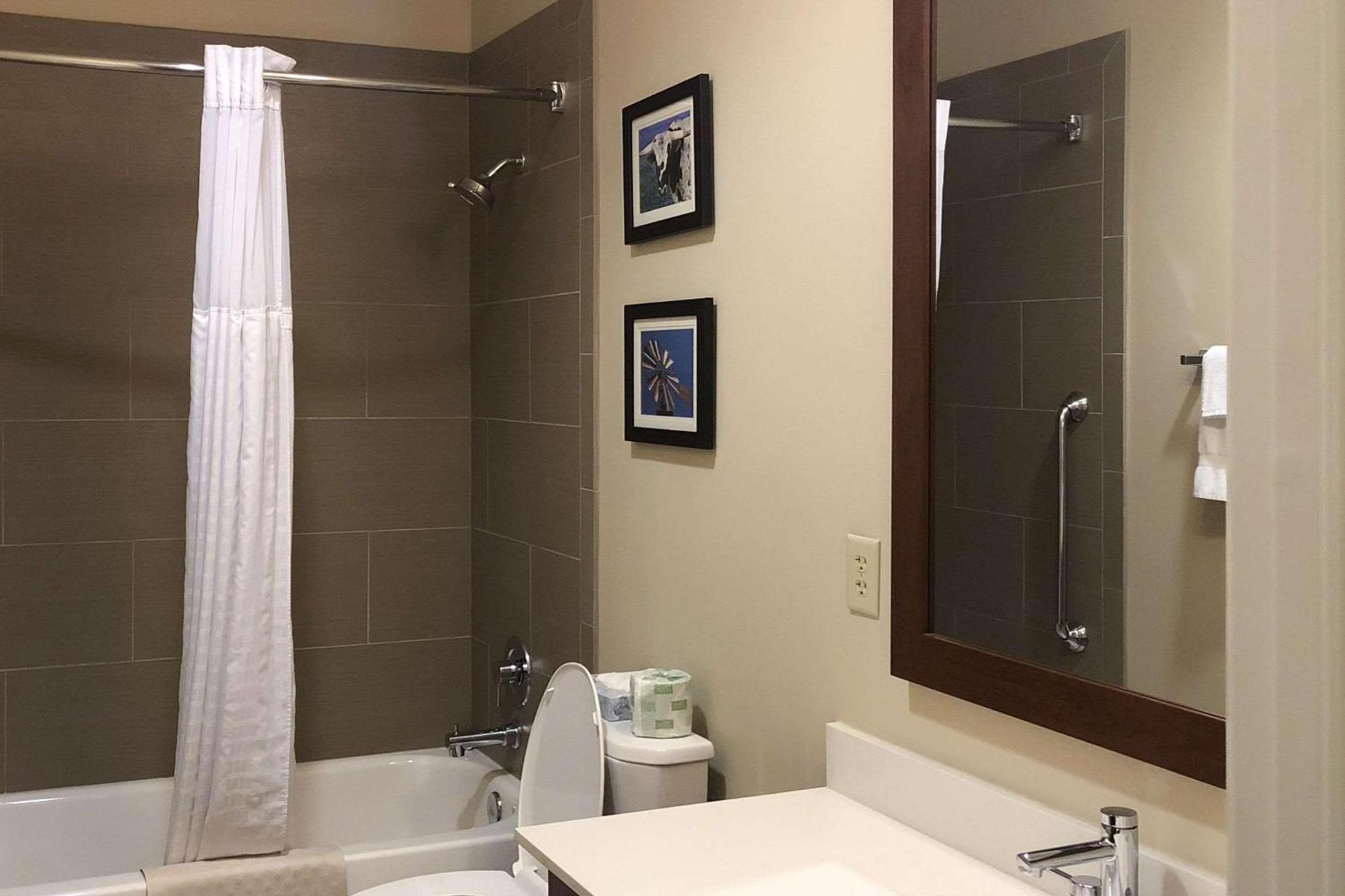 Comfort Inn Early Brownwood photo 24