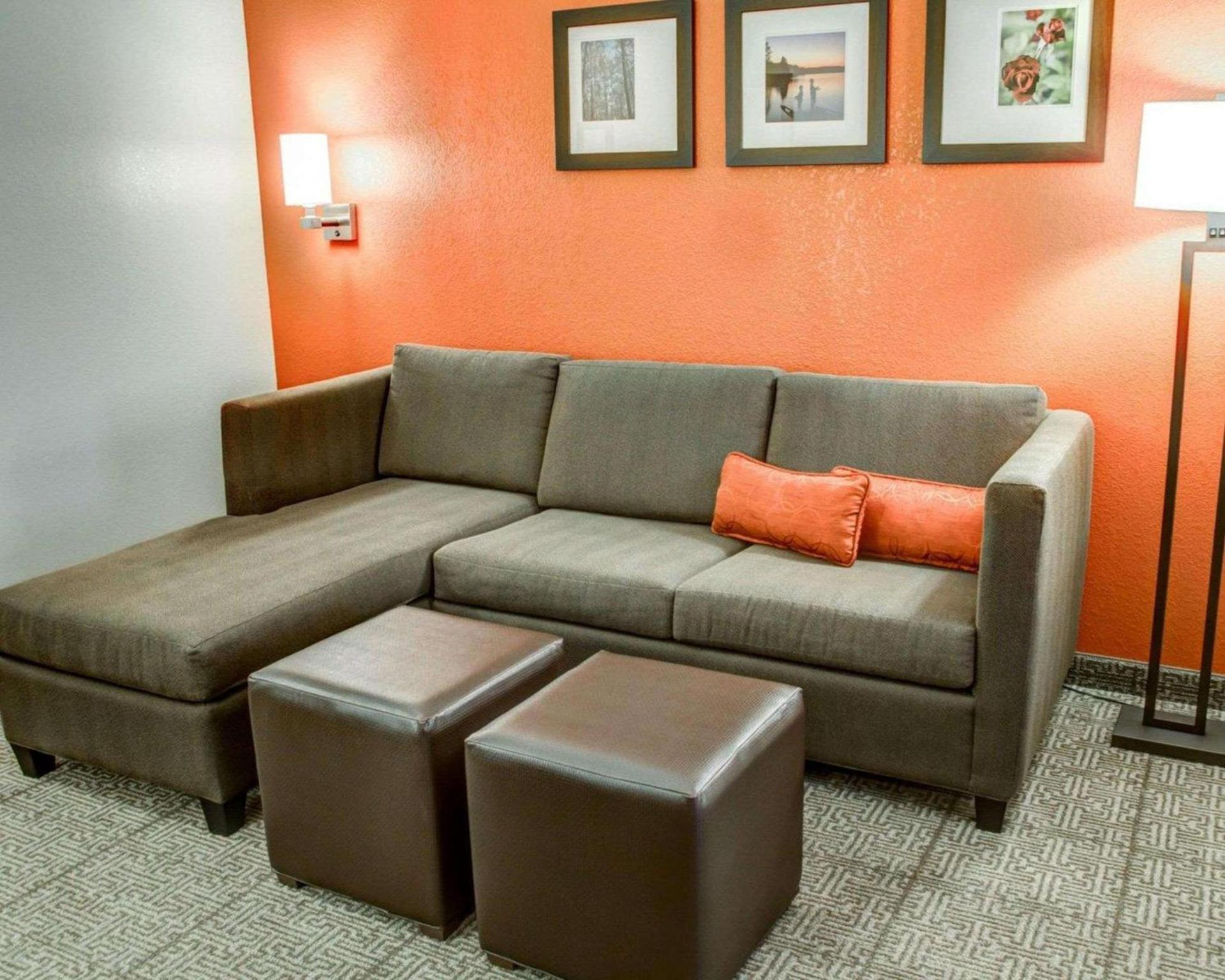 Comfort Suites Tyler South photo 15