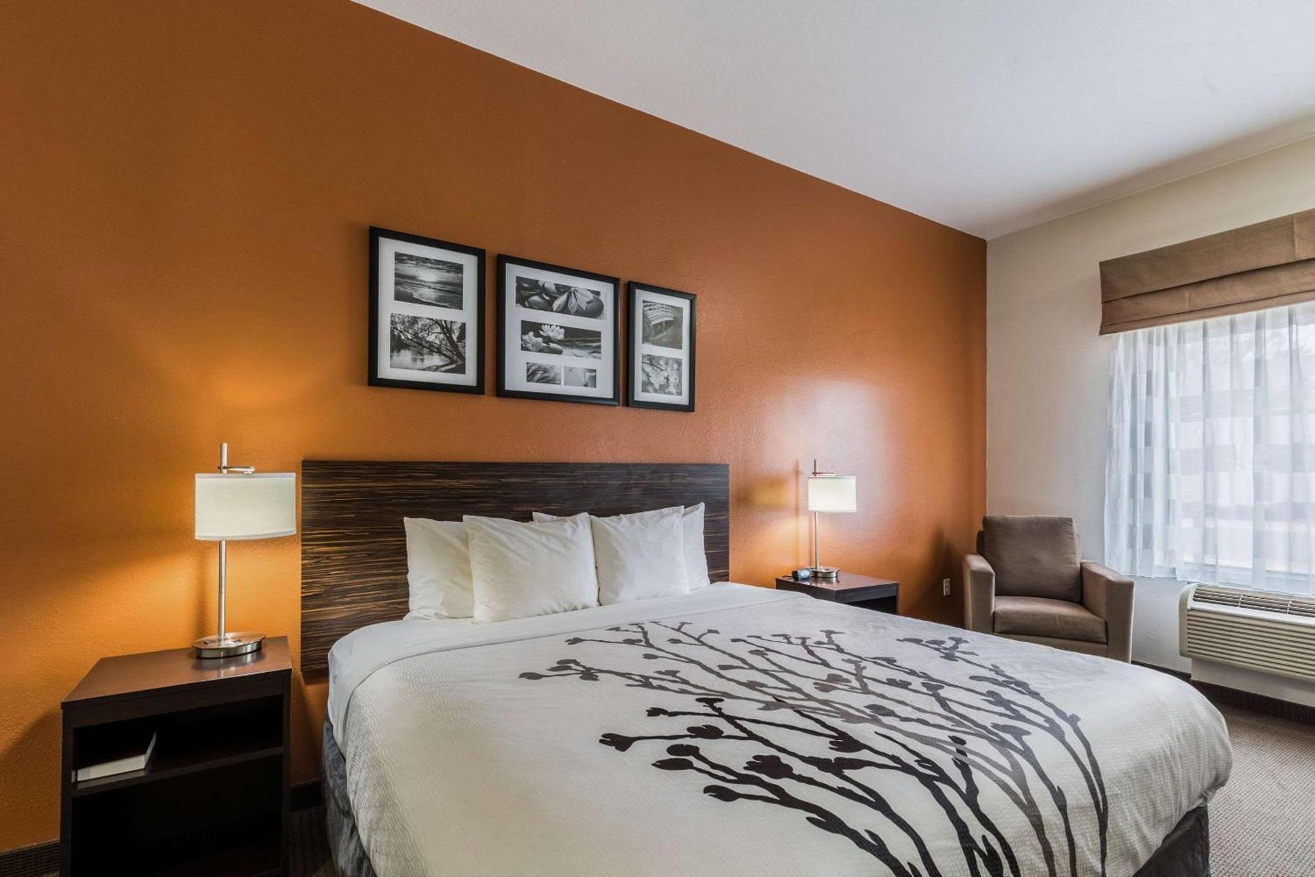 Sleep Inn & Suites Stafford - Sugarland photo 14