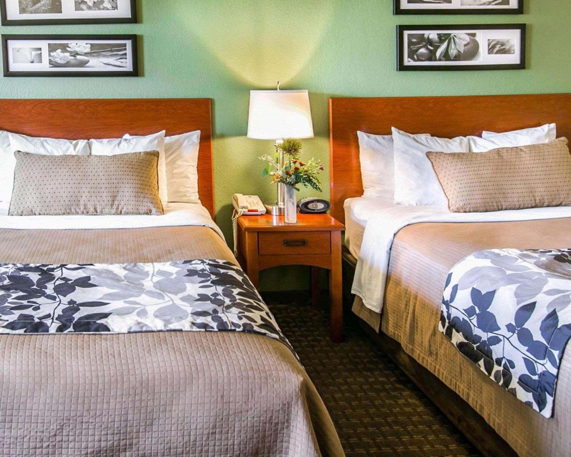 Sleep Inn & Suites Gonzales near Palmetto State Park photo 10