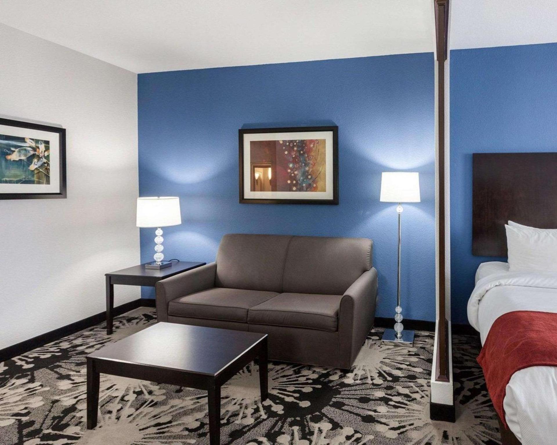 Comfort Suites Greenville photo 19