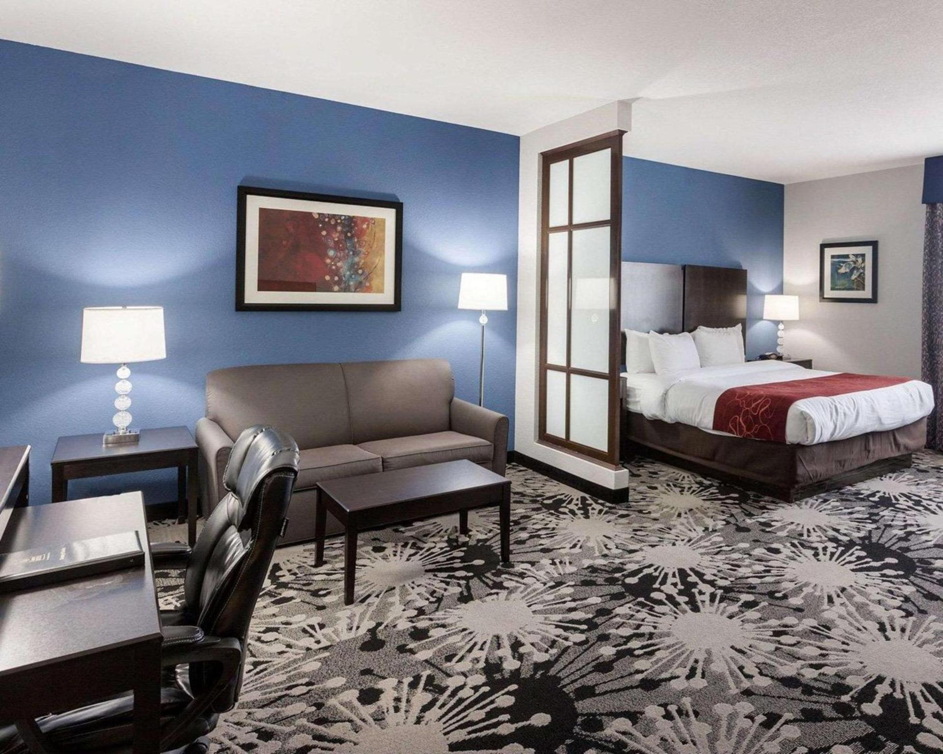 Comfort Suites Greenville photo 13