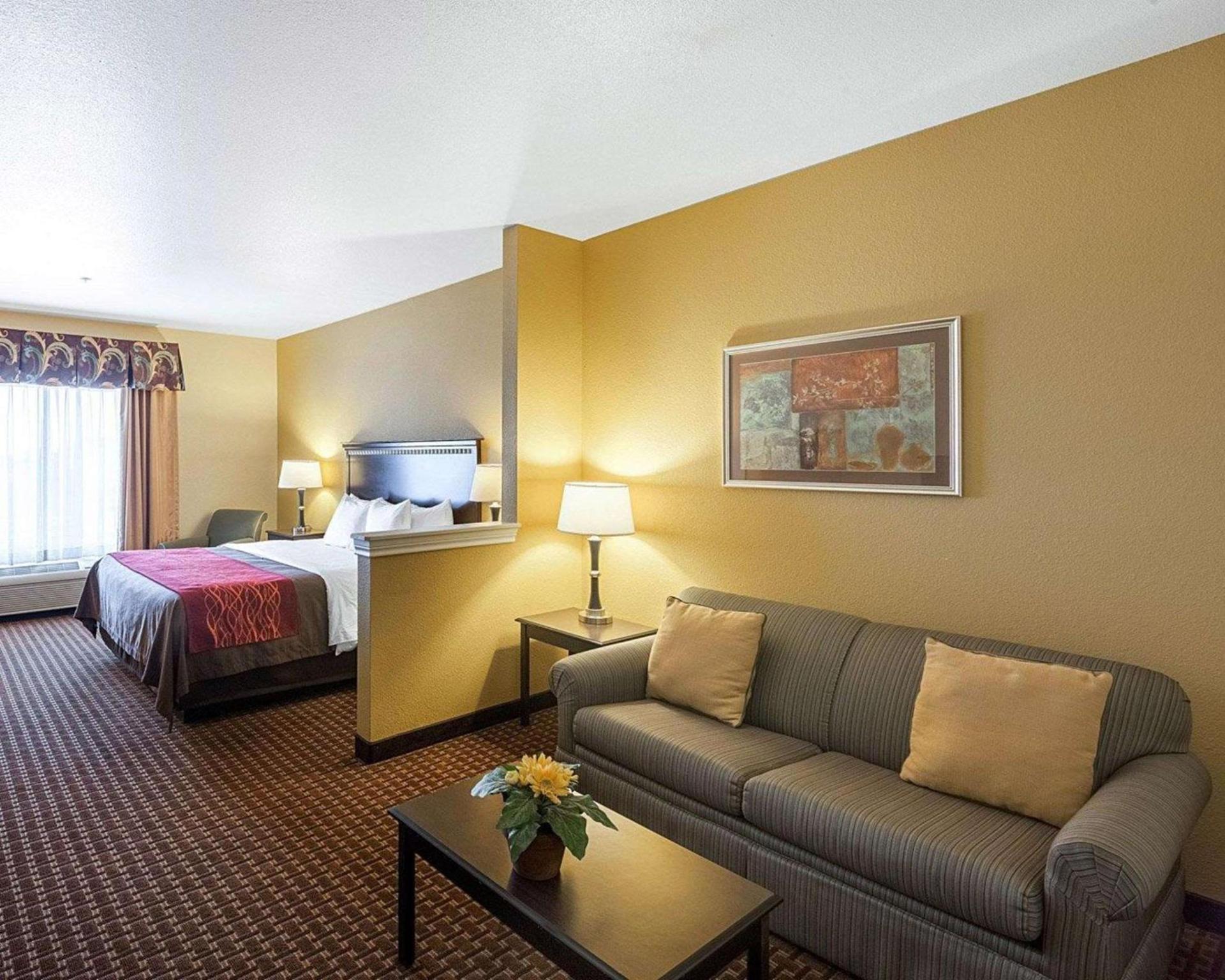 Comfort Inn & Suites Regional Medical Center photo 17