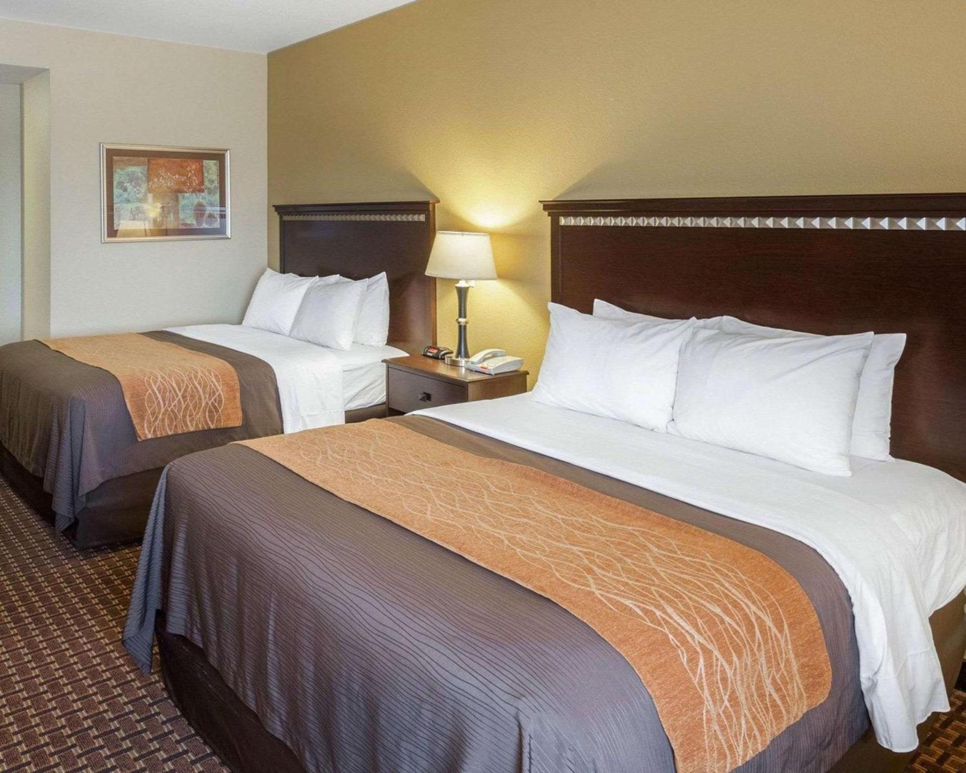 Comfort Inn & Suites Regional Medical Center photo 7