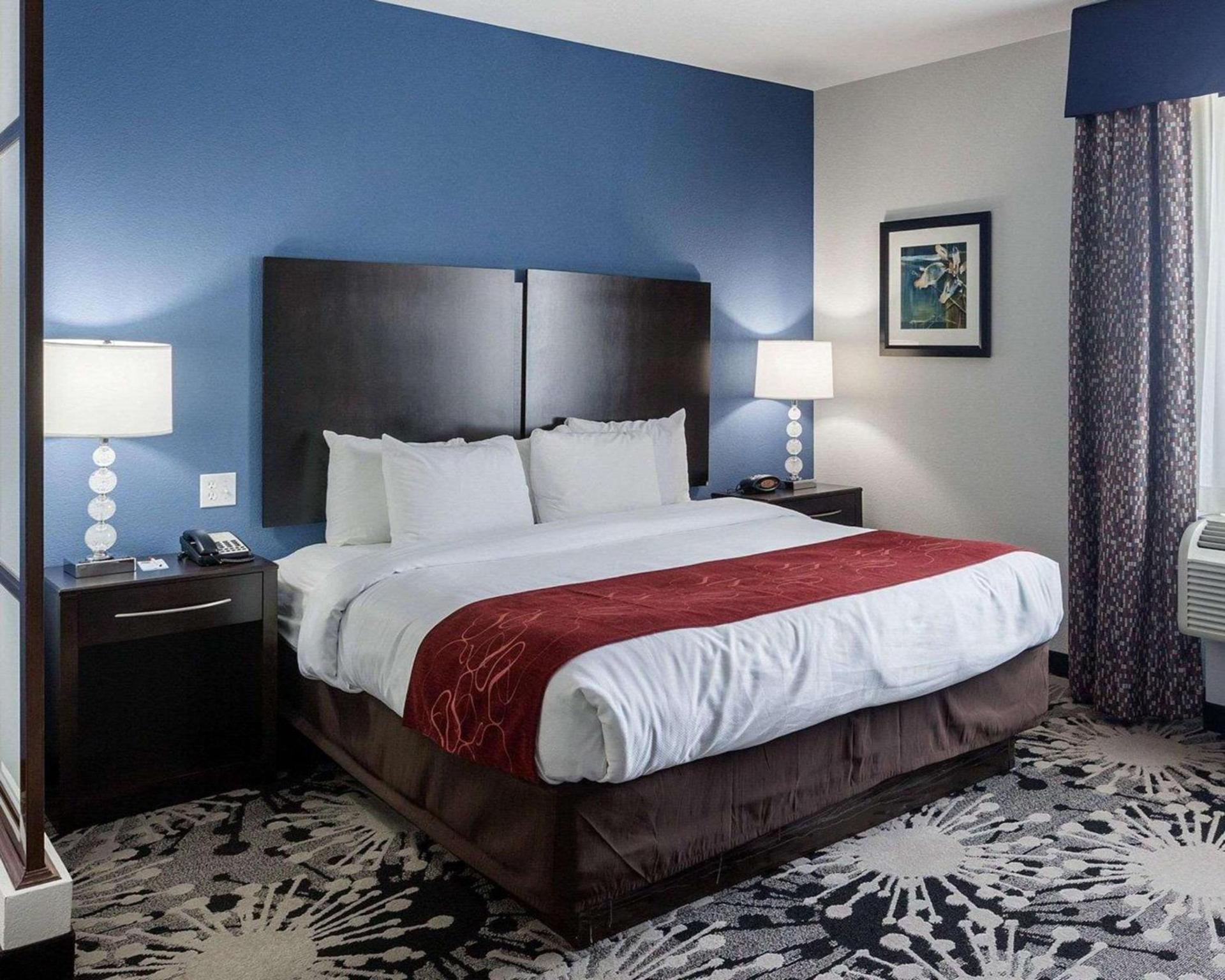 Comfort Suites Greenville photo 11
