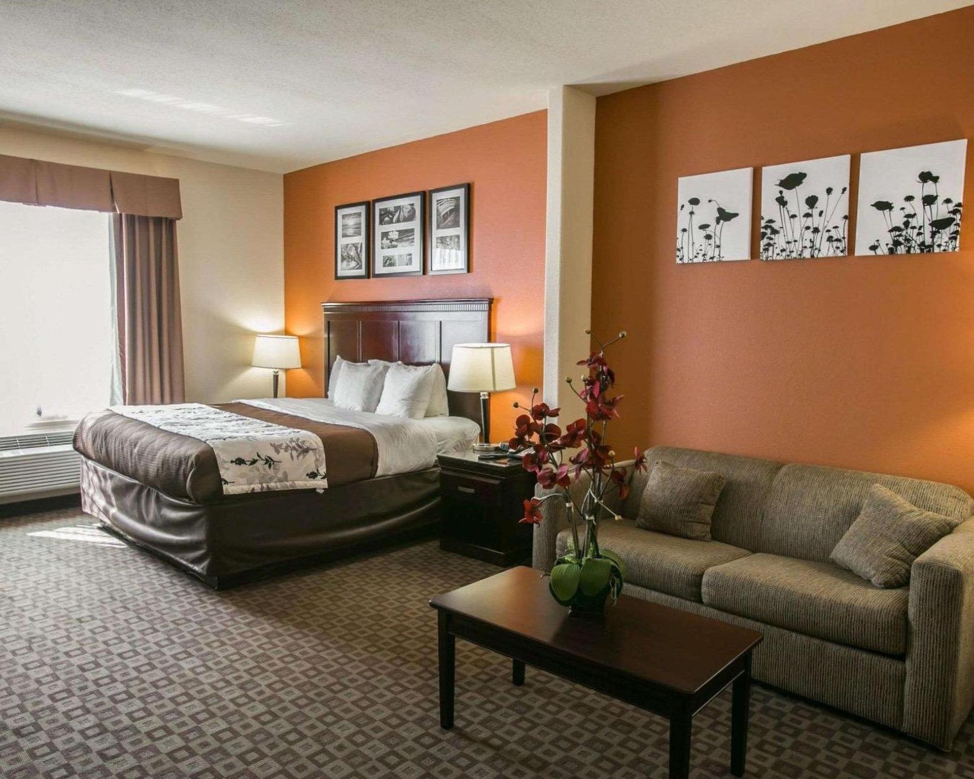 Sleep Inn & Suites Hwy 290-NW Freeway photo 18