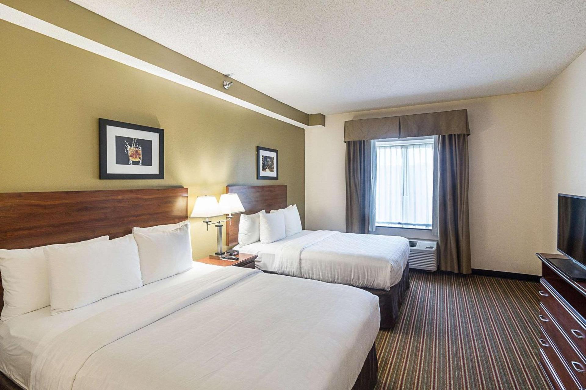Quality Inn & Suites West Chase photo 3