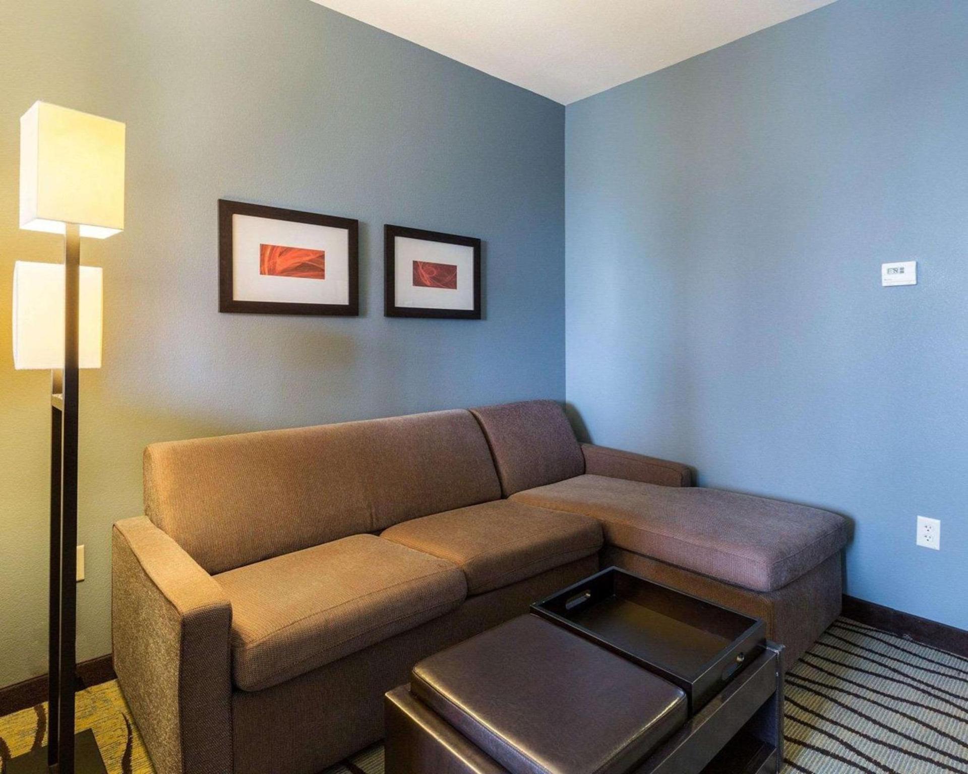 Comfort Suites near Westchase on Beltway 8 photo 17