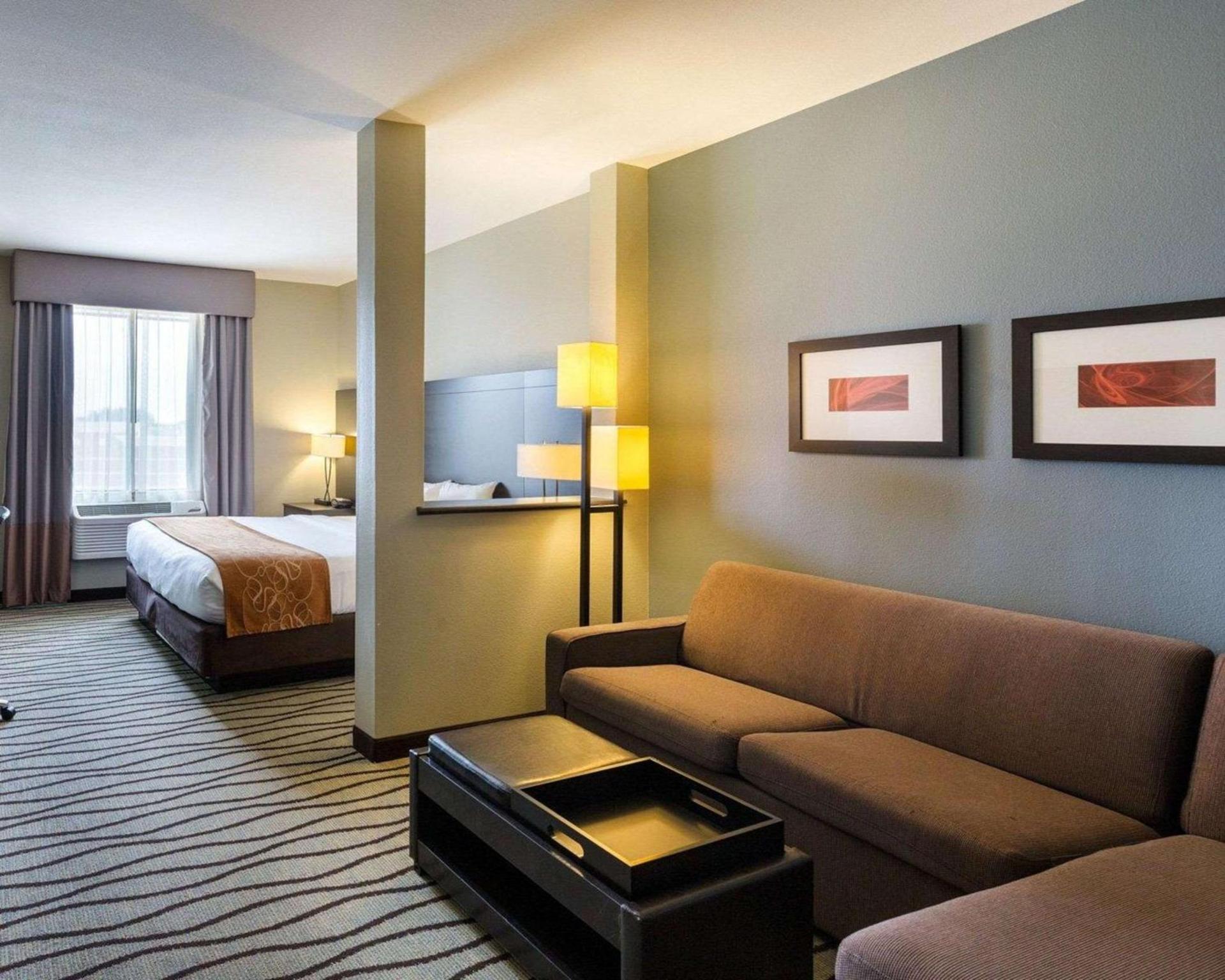 Comfort Suites near Westchase on Beltway 8 photo 15