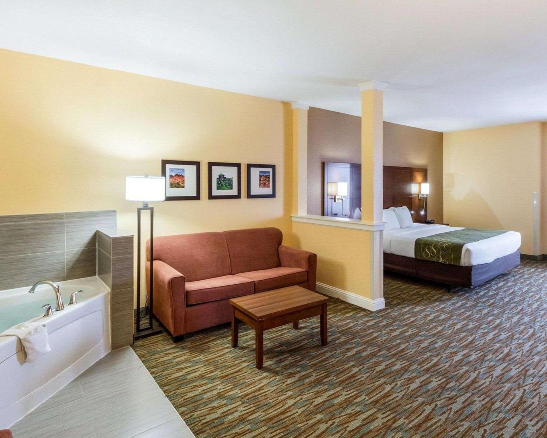 Comfort Suites Cotulla near I-35 photo 7