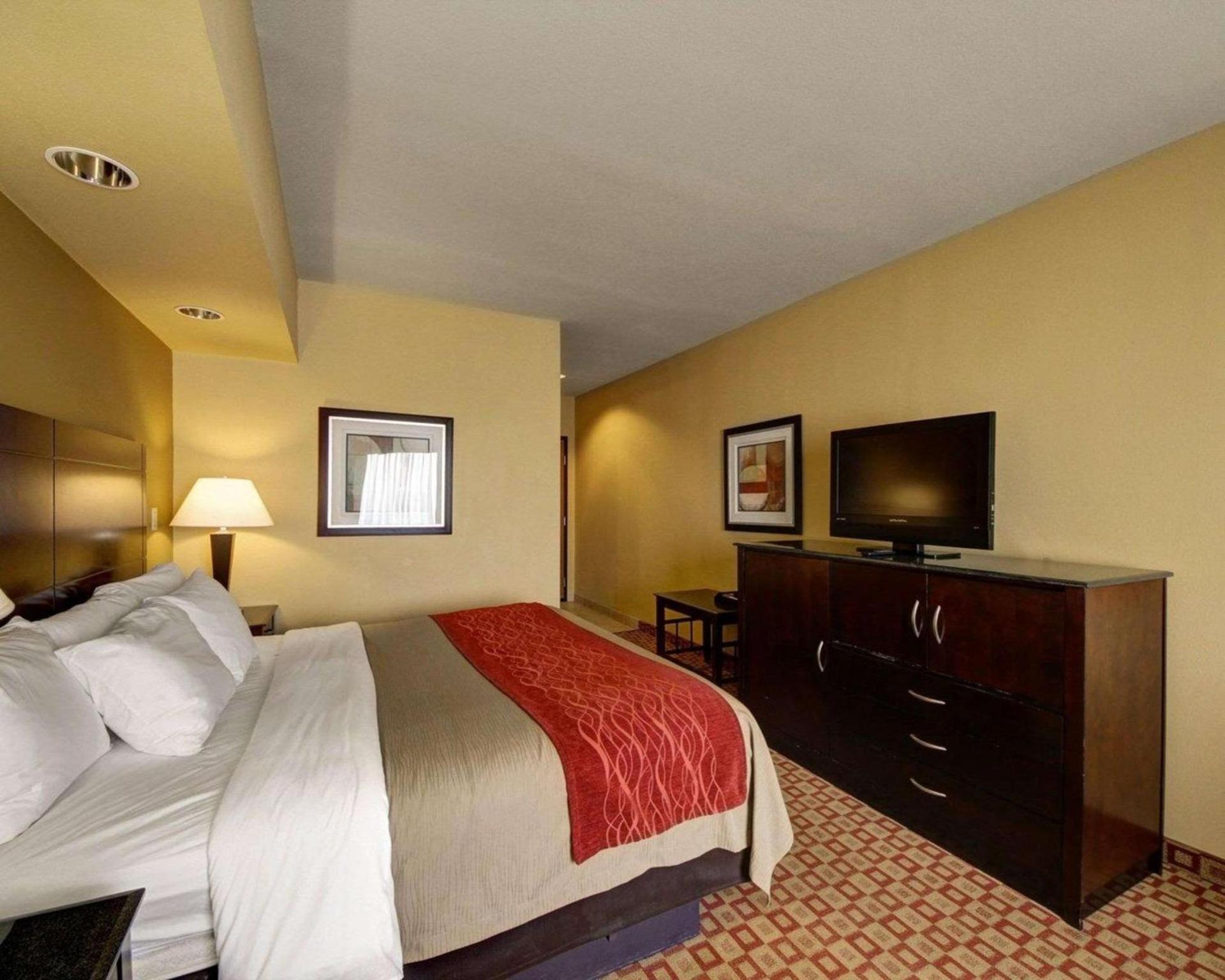 Comfort Inn & Suites Donna near I-2 photo 7