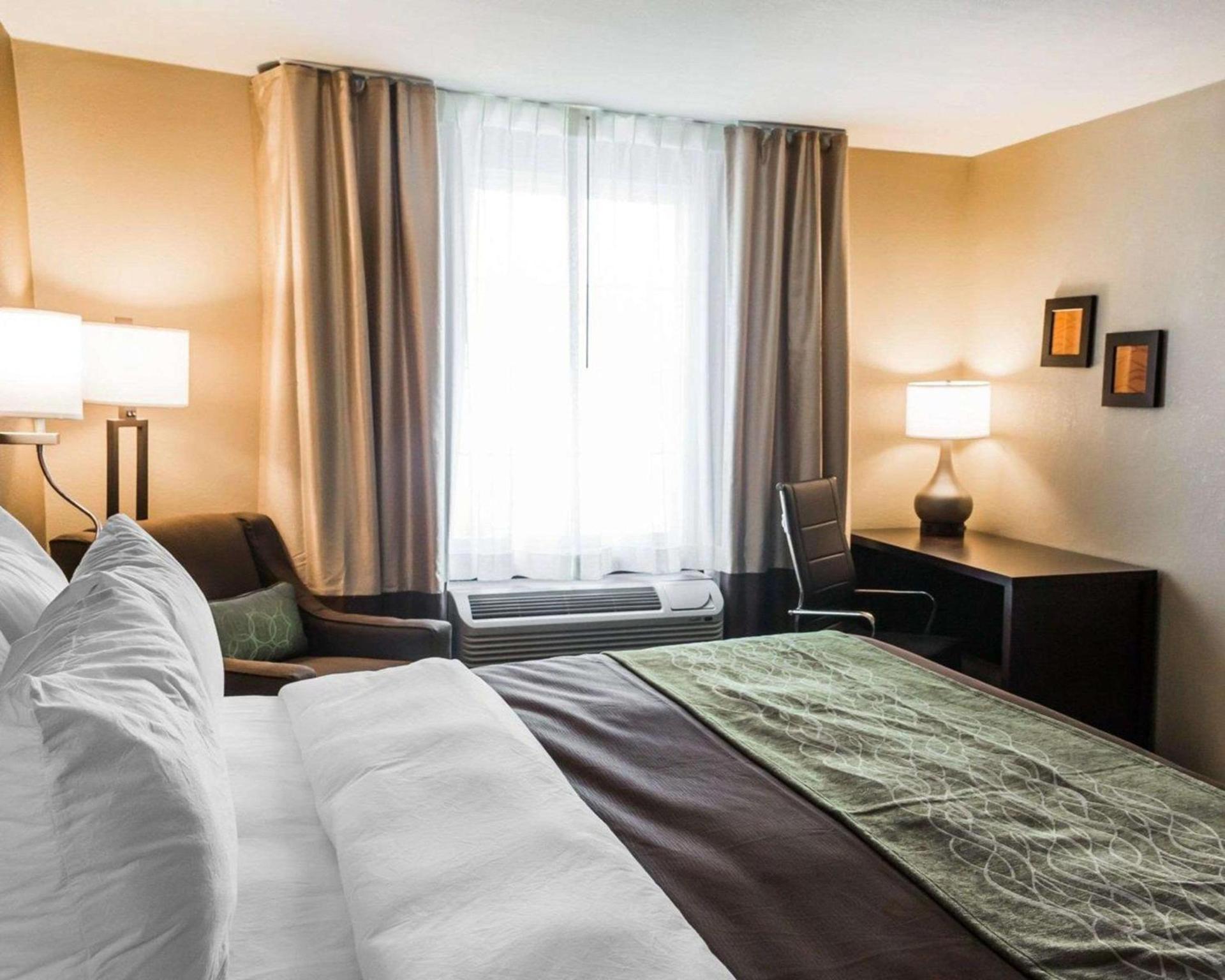 Comfort Inn & Suites Pharr - McAllen photo 4