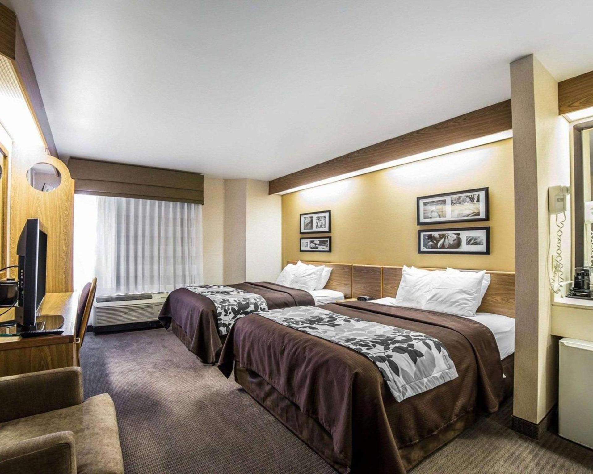Quality Inn Moab Slickrock Area photo 10